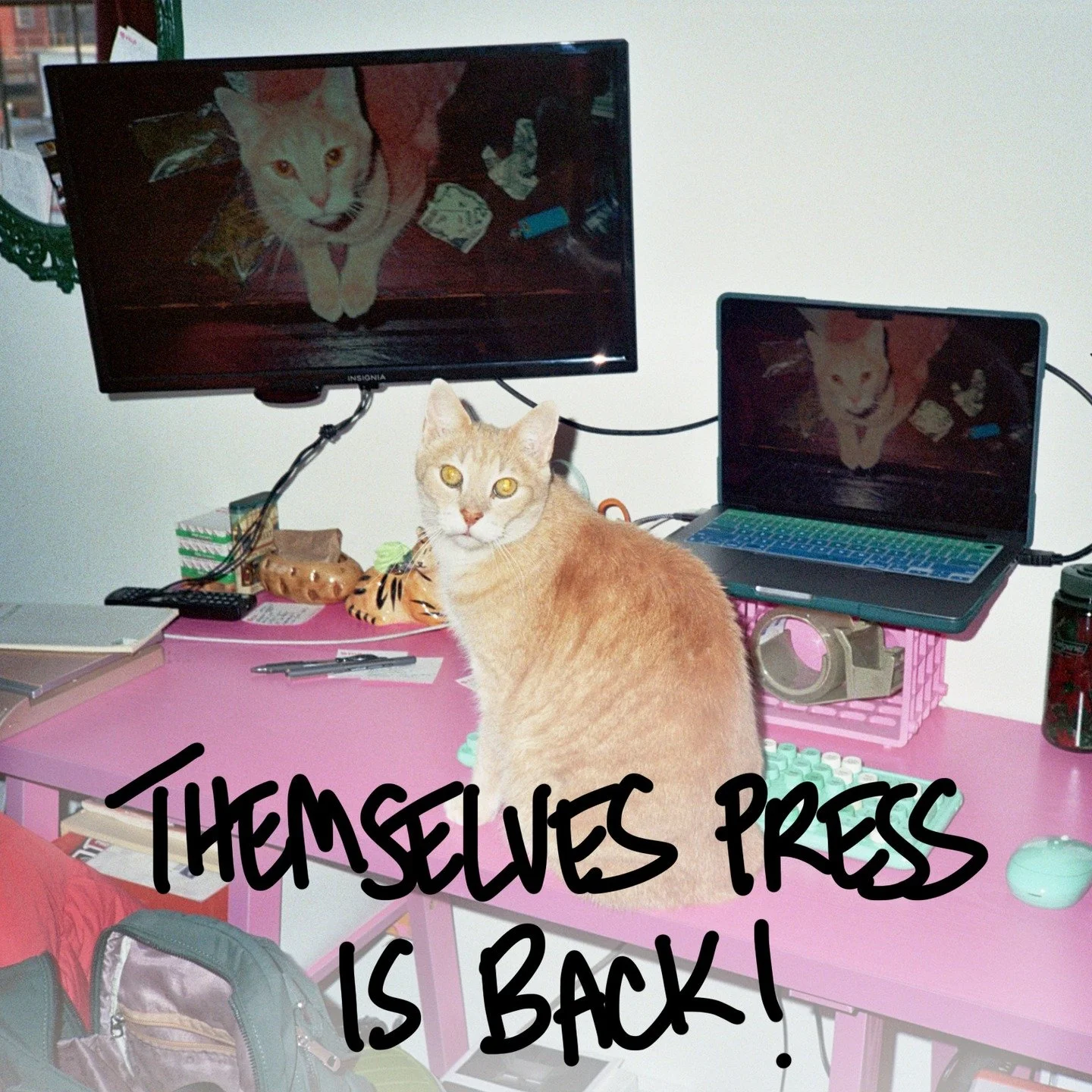 hey it's me, i'm back in action! here's what that means and also my cats

-i'm working on new zine releases, coming sooner thank you think!

-i am accepting print and design commissions, please email me for inquiries

-i will continue to be largely i
