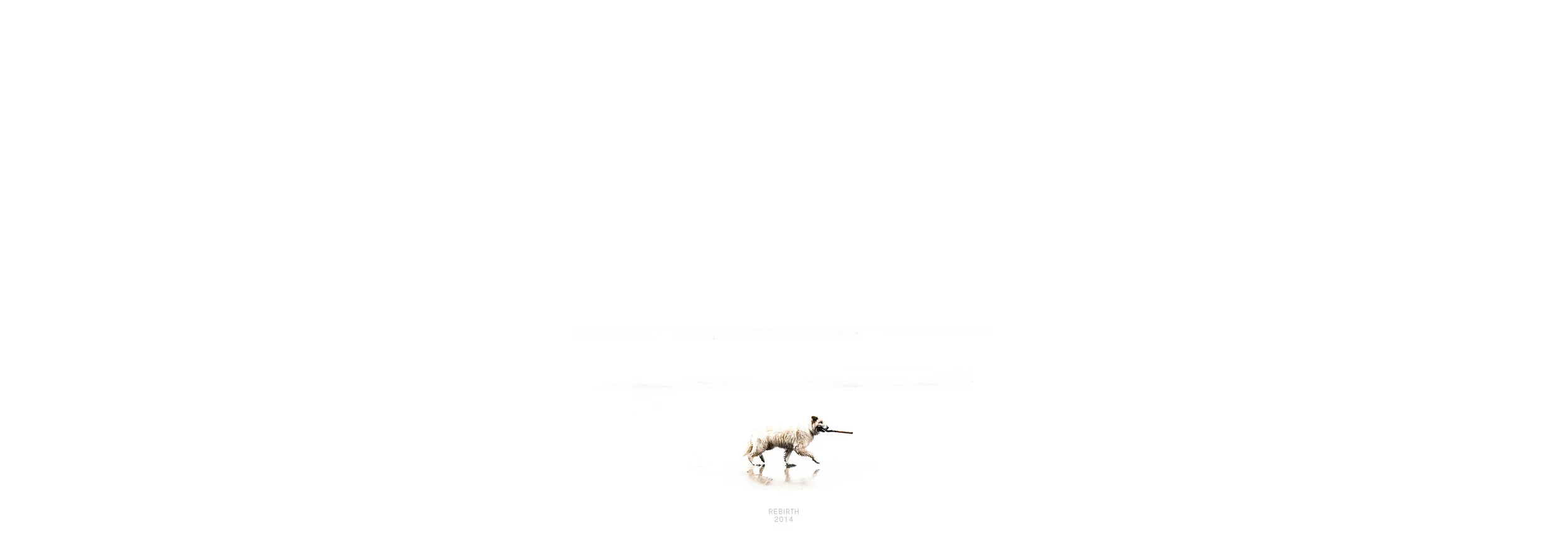 A2014SUM - Portfolio - White Space Raumkrankheit17.jpg