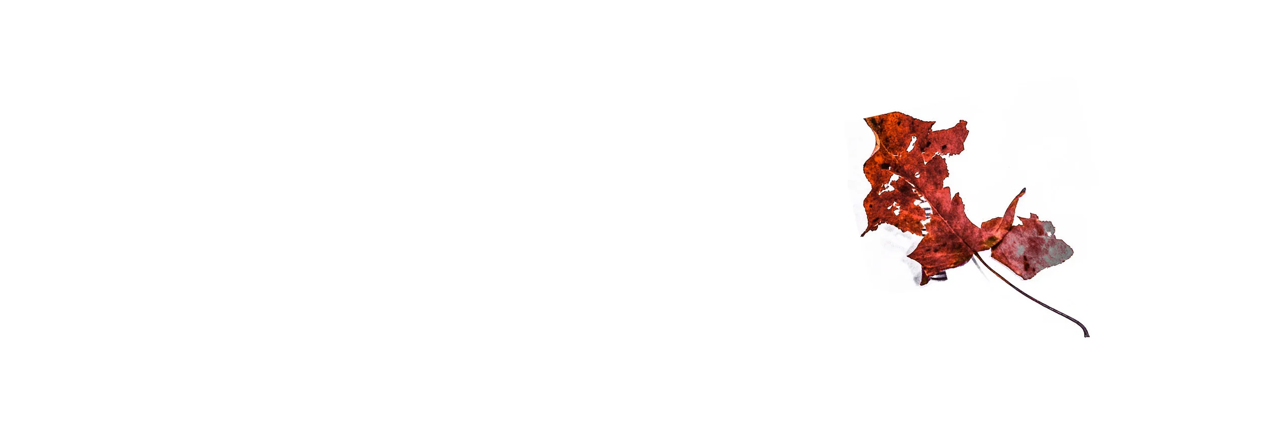 A2014SUM - Portfolio - Draft22.jpg