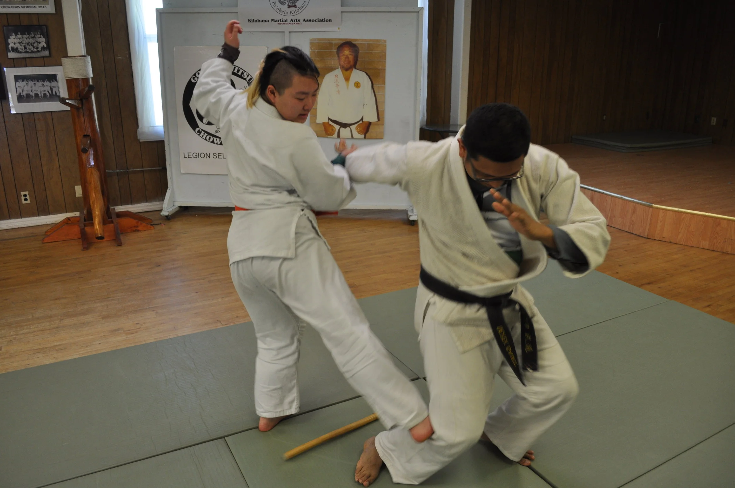 Danzan Ryu Jujitsu Touyou No Chie Legion 41