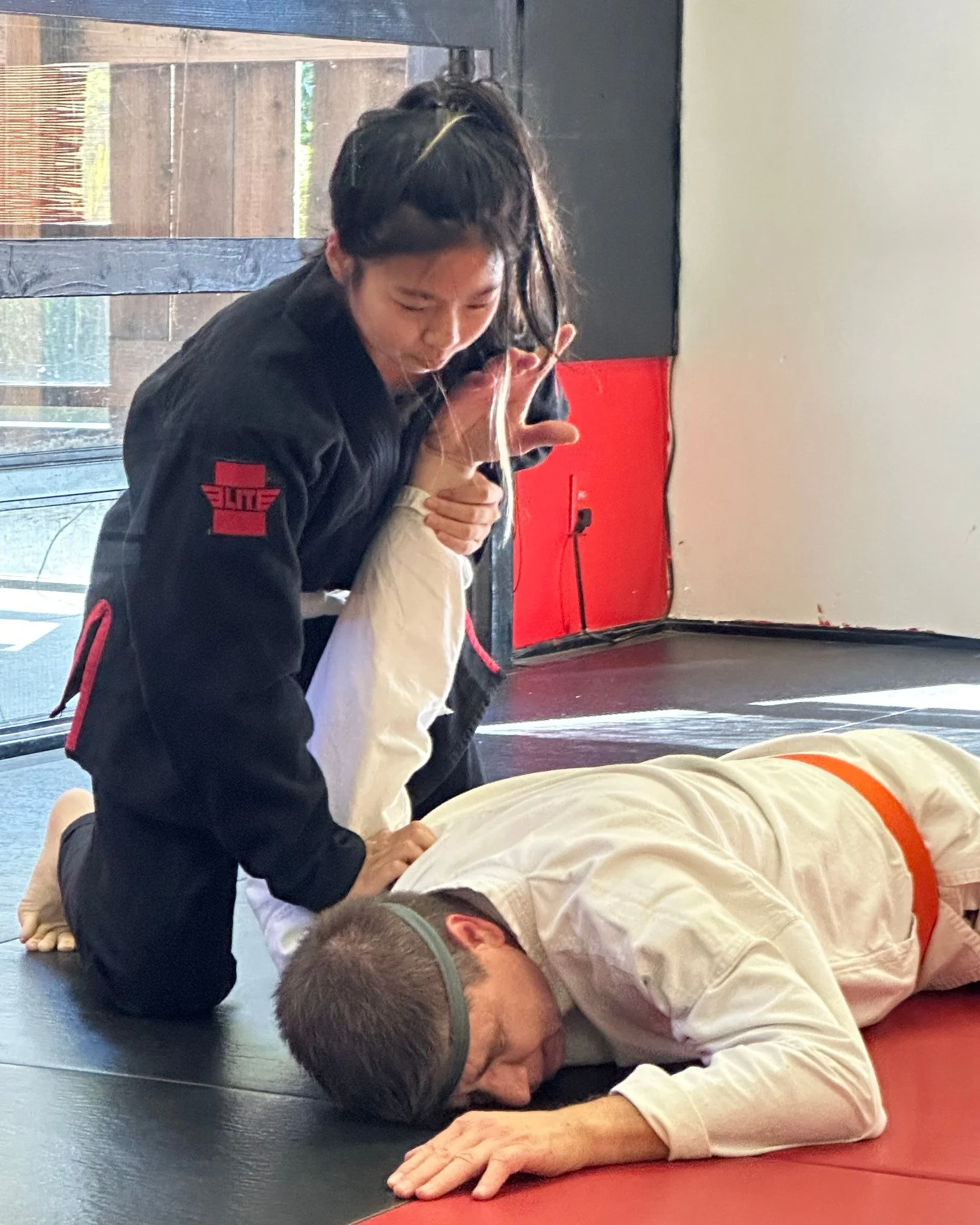 Aikido Basic Pin