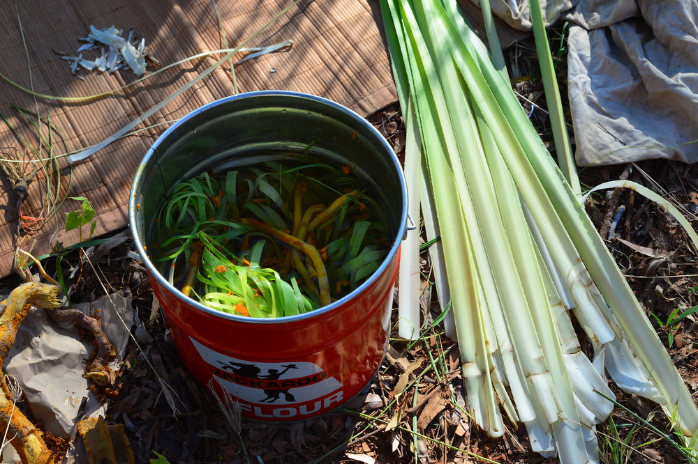 Boiling+up+pandanus+with+roots+for+dyeing+Photo+David+Leece.jpeg