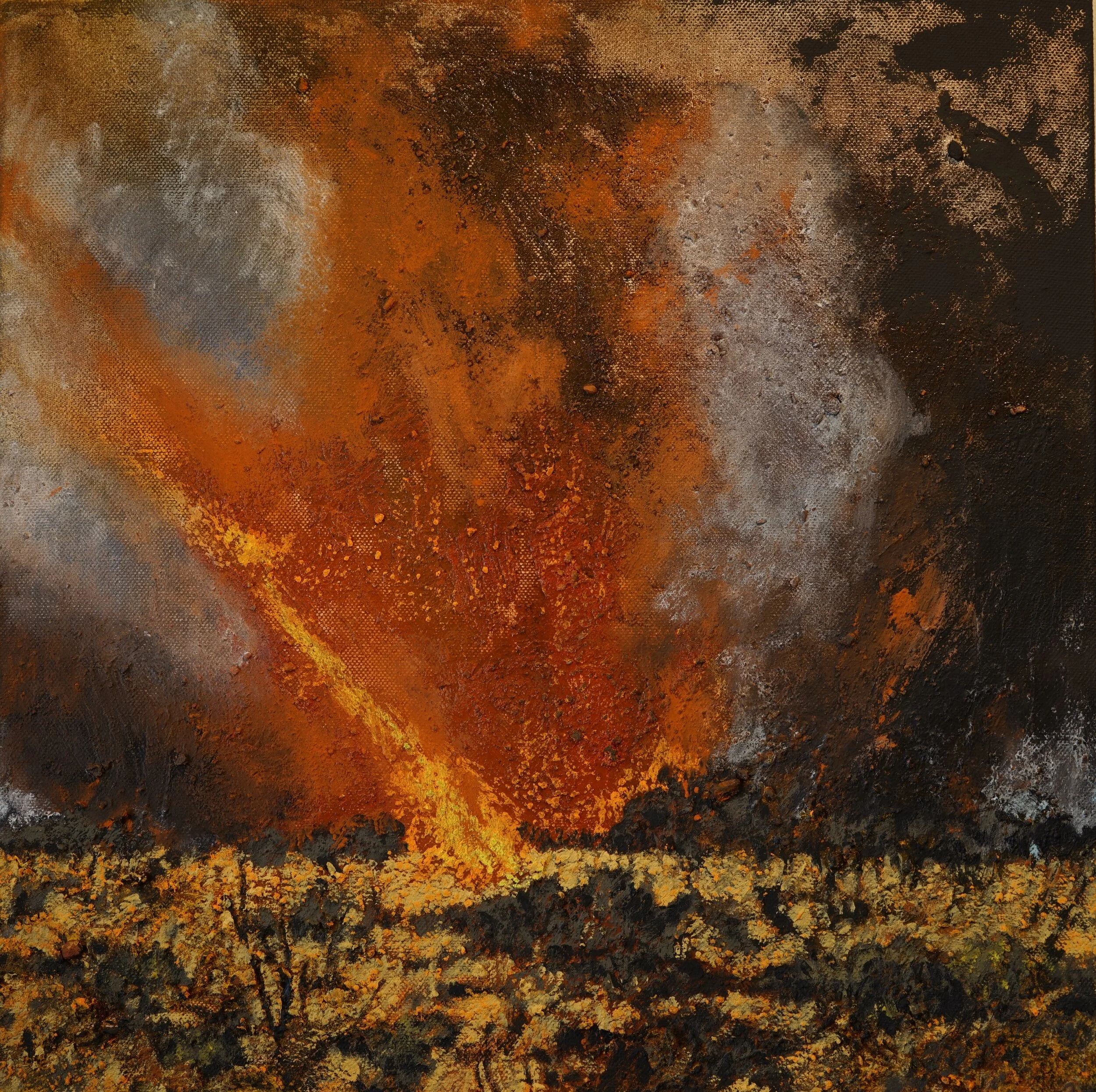 Mandy Martin, "Firestorm, Mt Connor 2", 2015, Pigment, oil on linen, 100 x 100 cm
