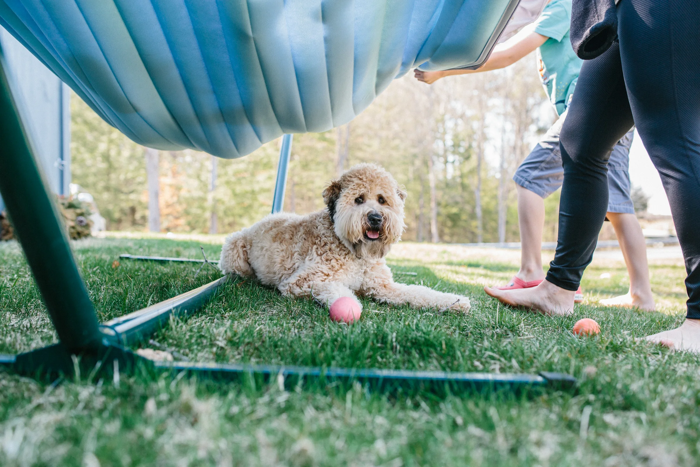 20160417_FamilyDay-16-2.jpg