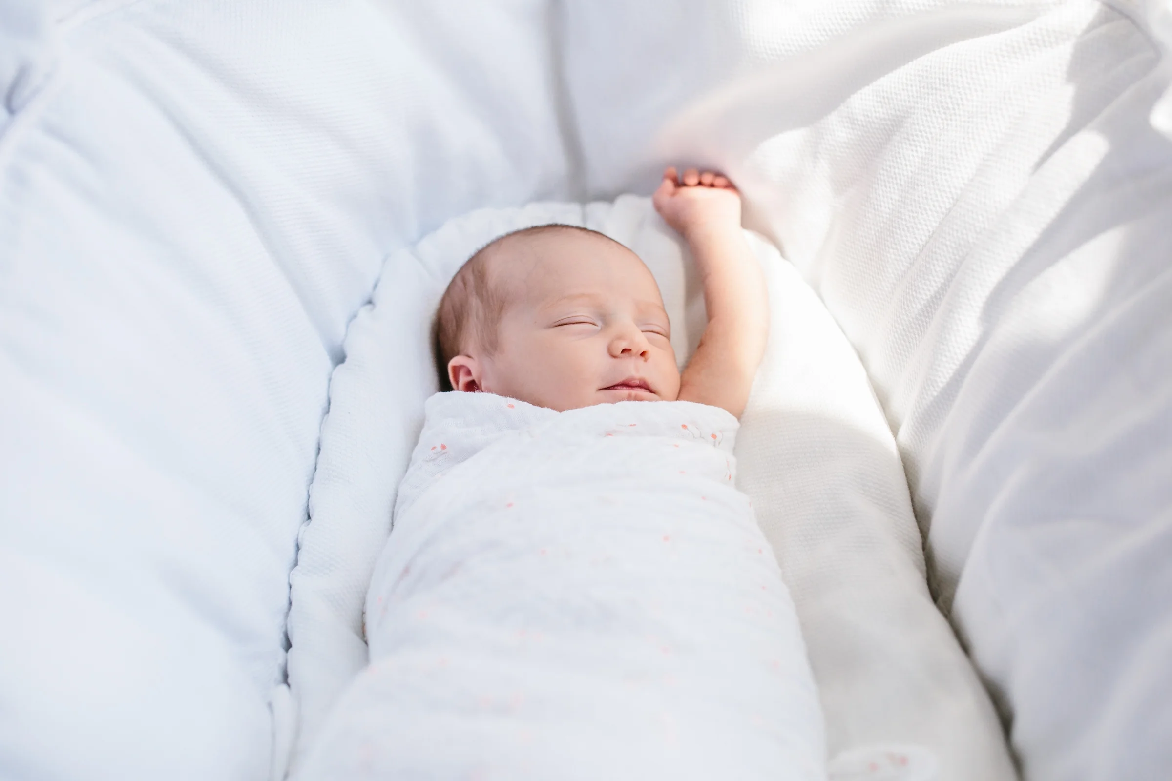 20160516_BabyCora-209.jpg