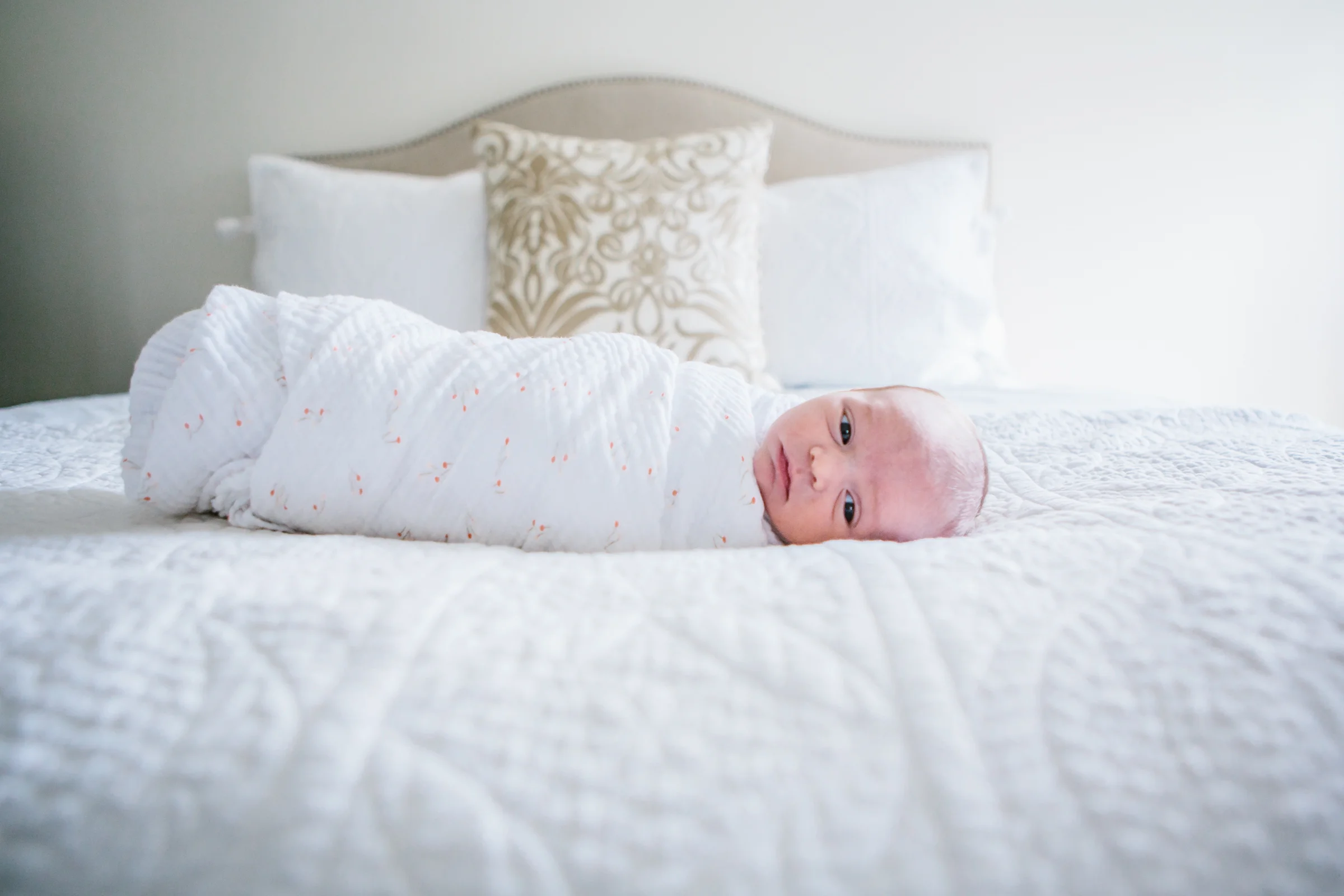 20160516_BabyCora-82.jpg