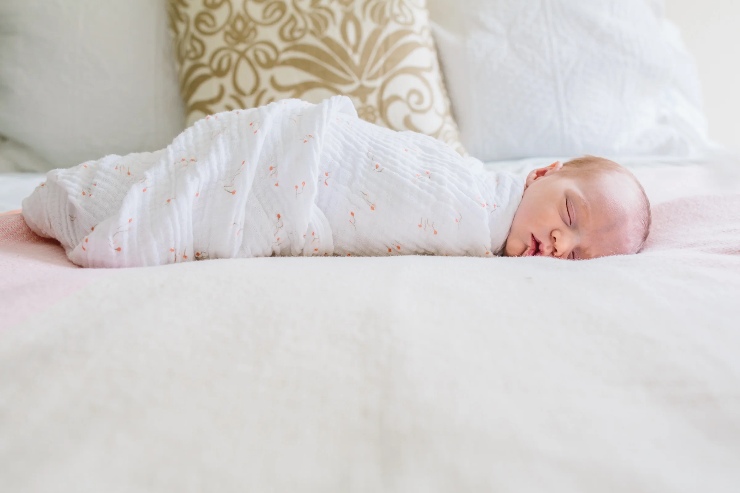 20160516_BabyCora-198.jpg