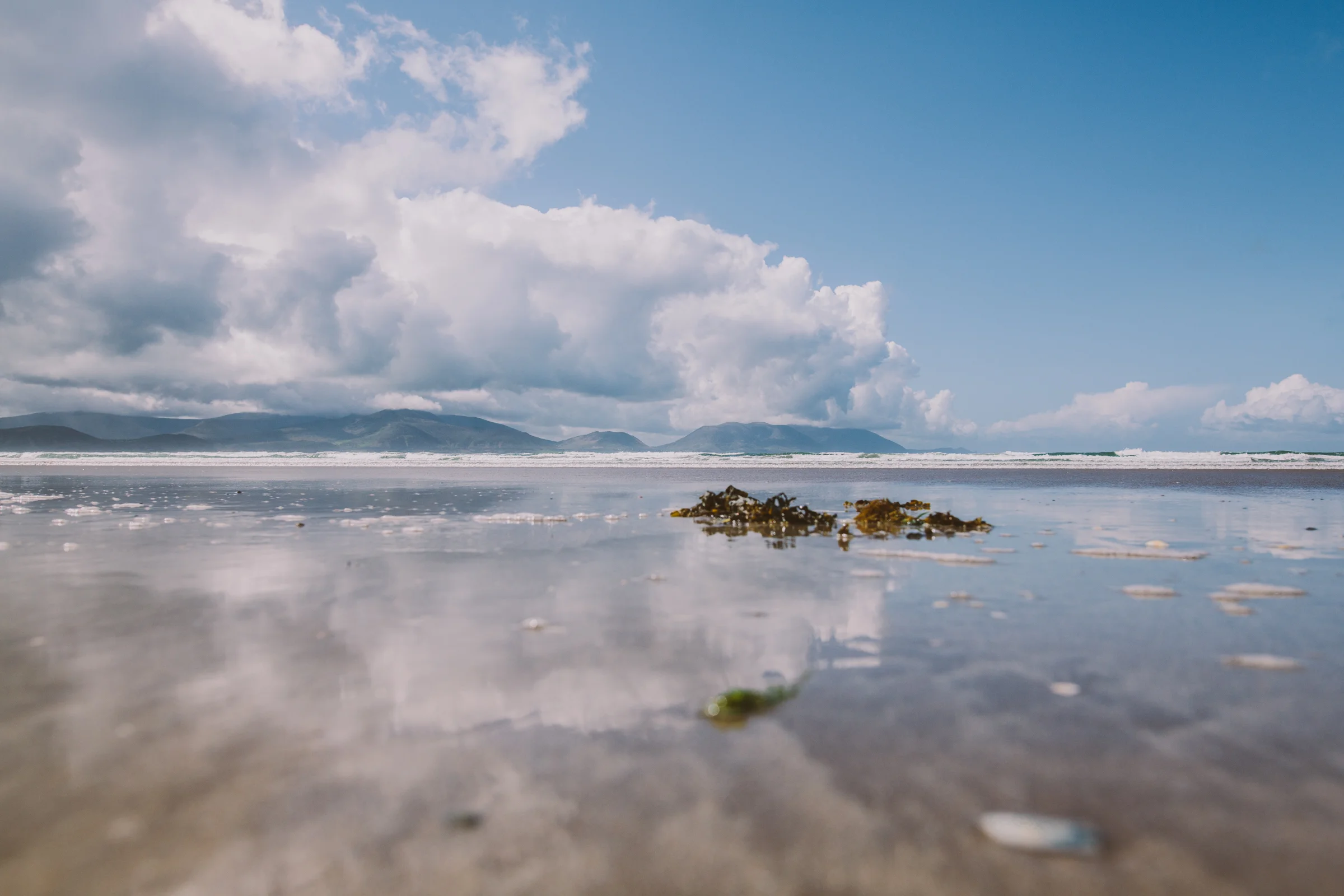 20160519_IRELAND-18.jpg