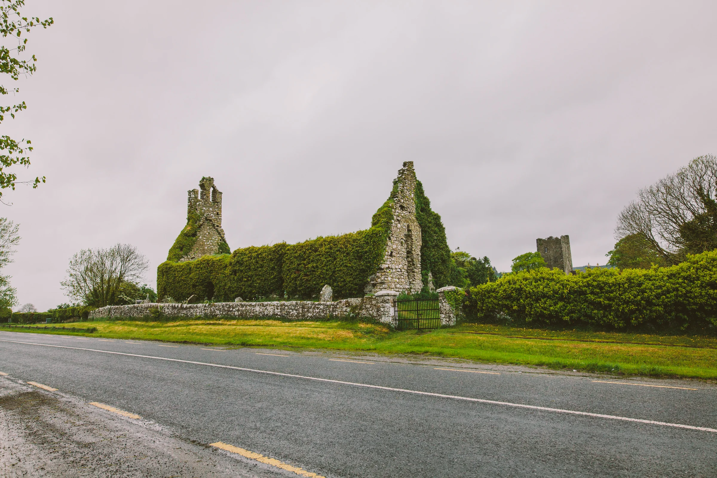 20160519_IRELAND-47-2.jpg