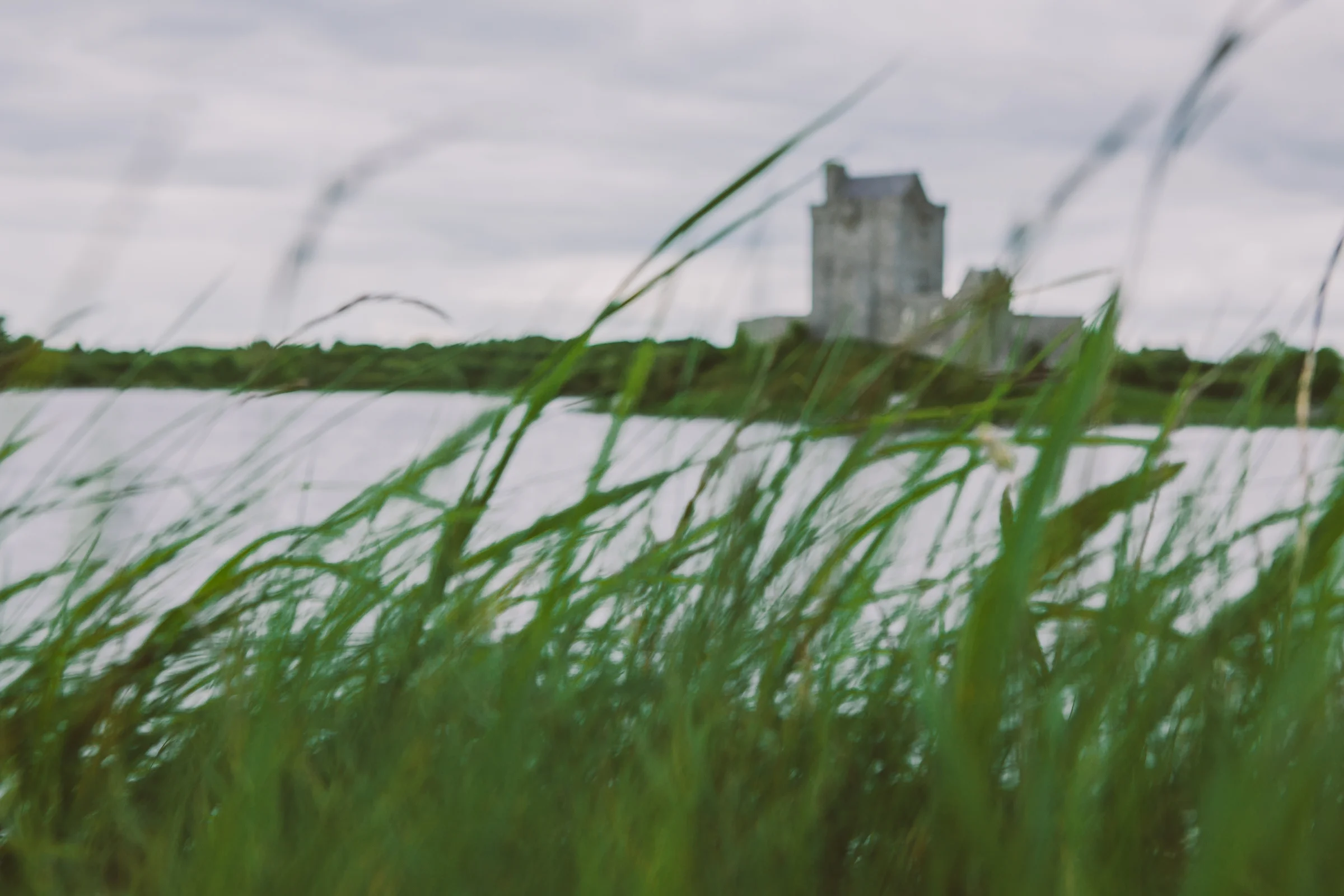 20160519_IRELAND-79.jpg
