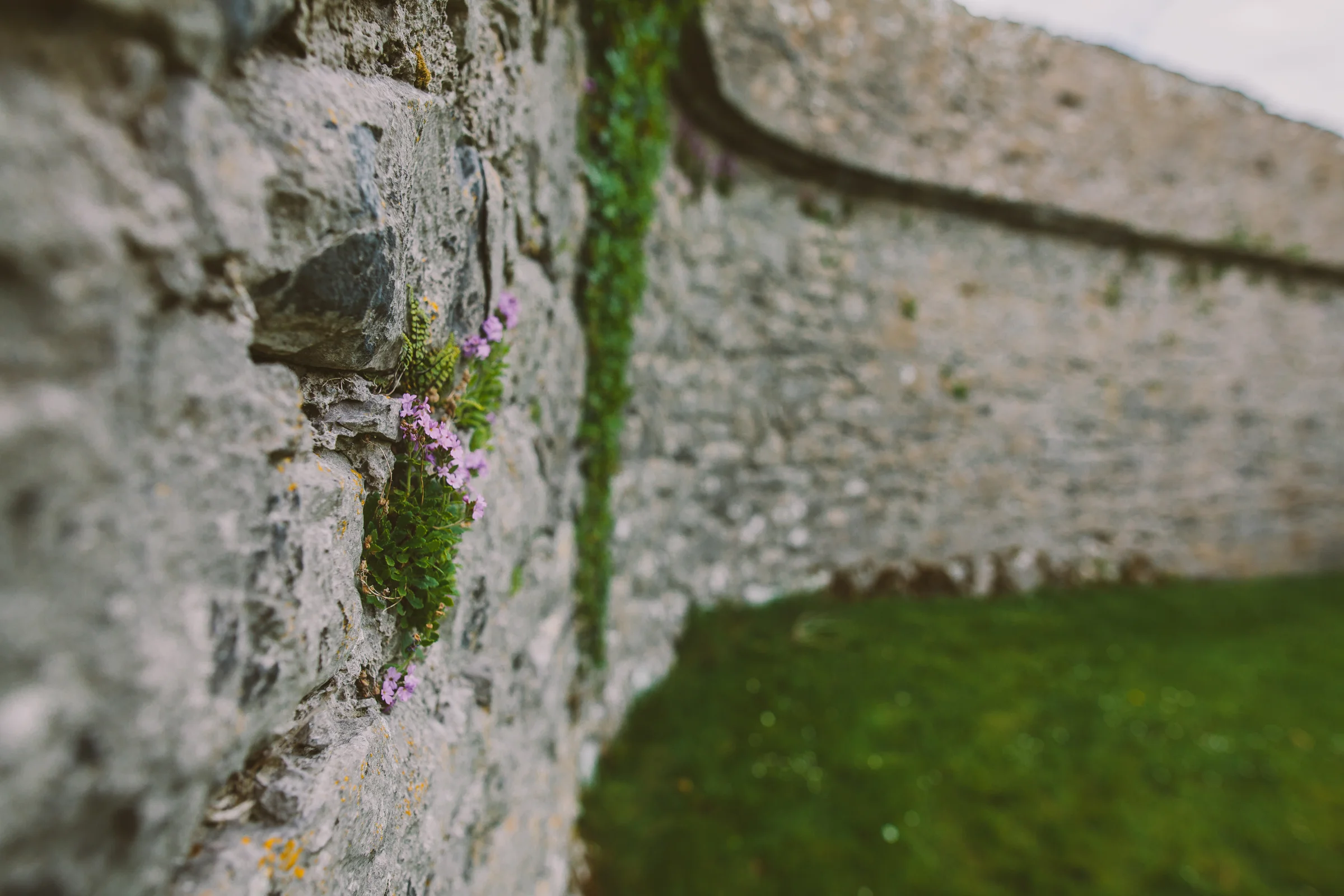 20160519_IRELAND-91.jpg