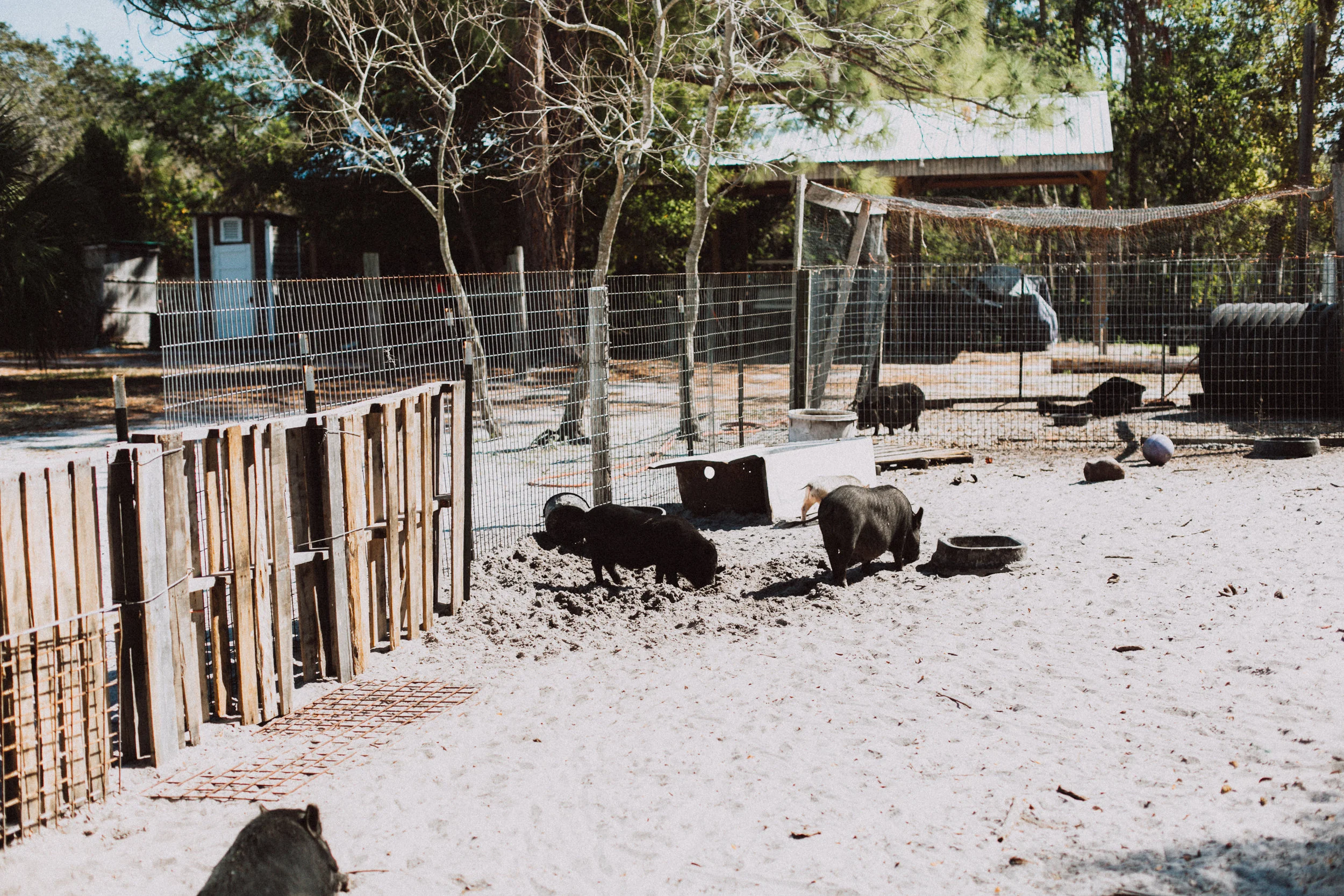Shauna_Hundeby_From+Coast+to+Coast_Sunshine+Ranch-16-8017.jpg