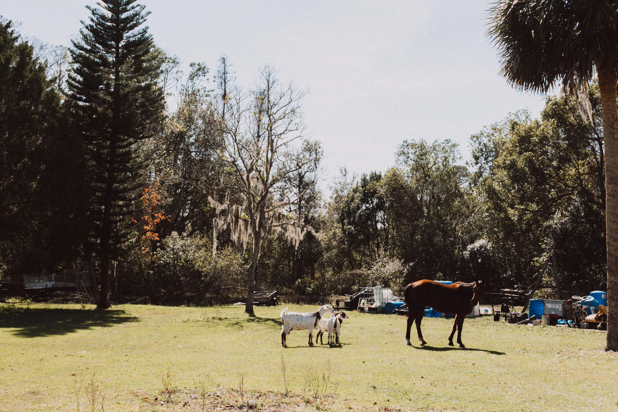 Shauna_Hundeby_From+Coast+to+Coast_Sunshine+Ranch-26-8030.jpg