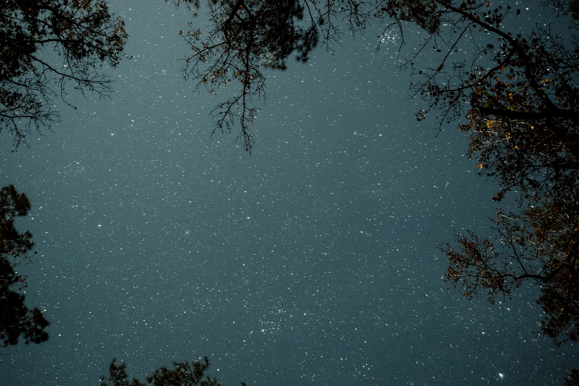 From-Coast-to-Coast-Camping-Juniper-Springs-ocala-national-forest-14-2616.jpg