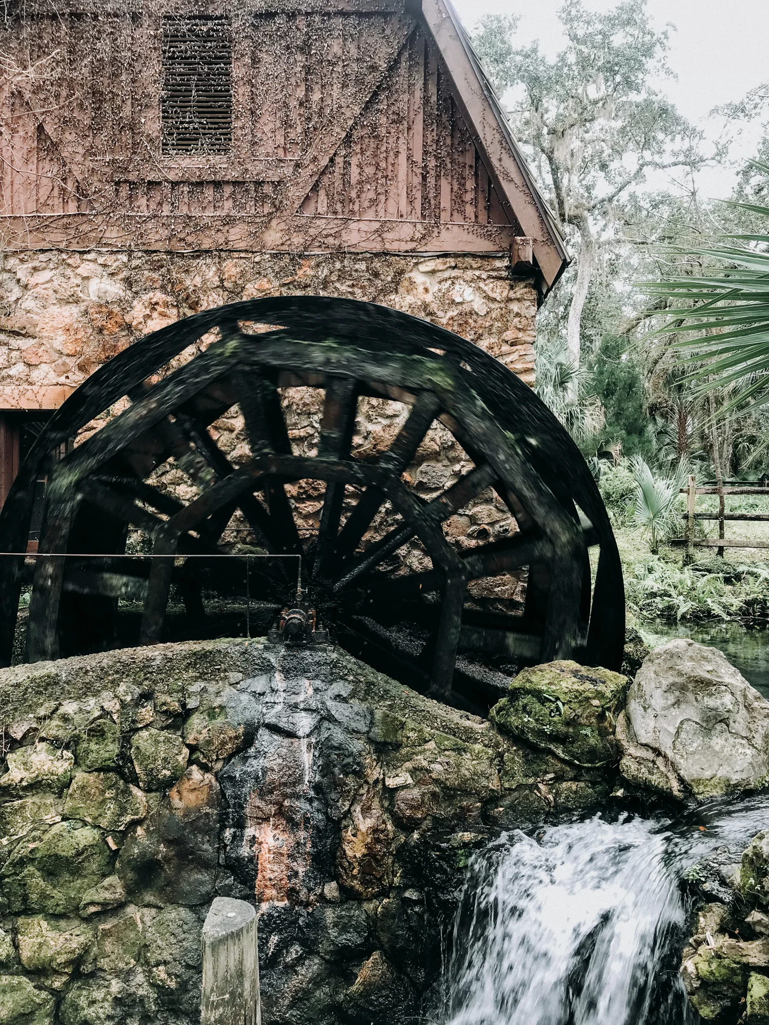 From-Coast-to-Coast-Camping-Juniper-Springs-ocala-national-forest-18-.jpg