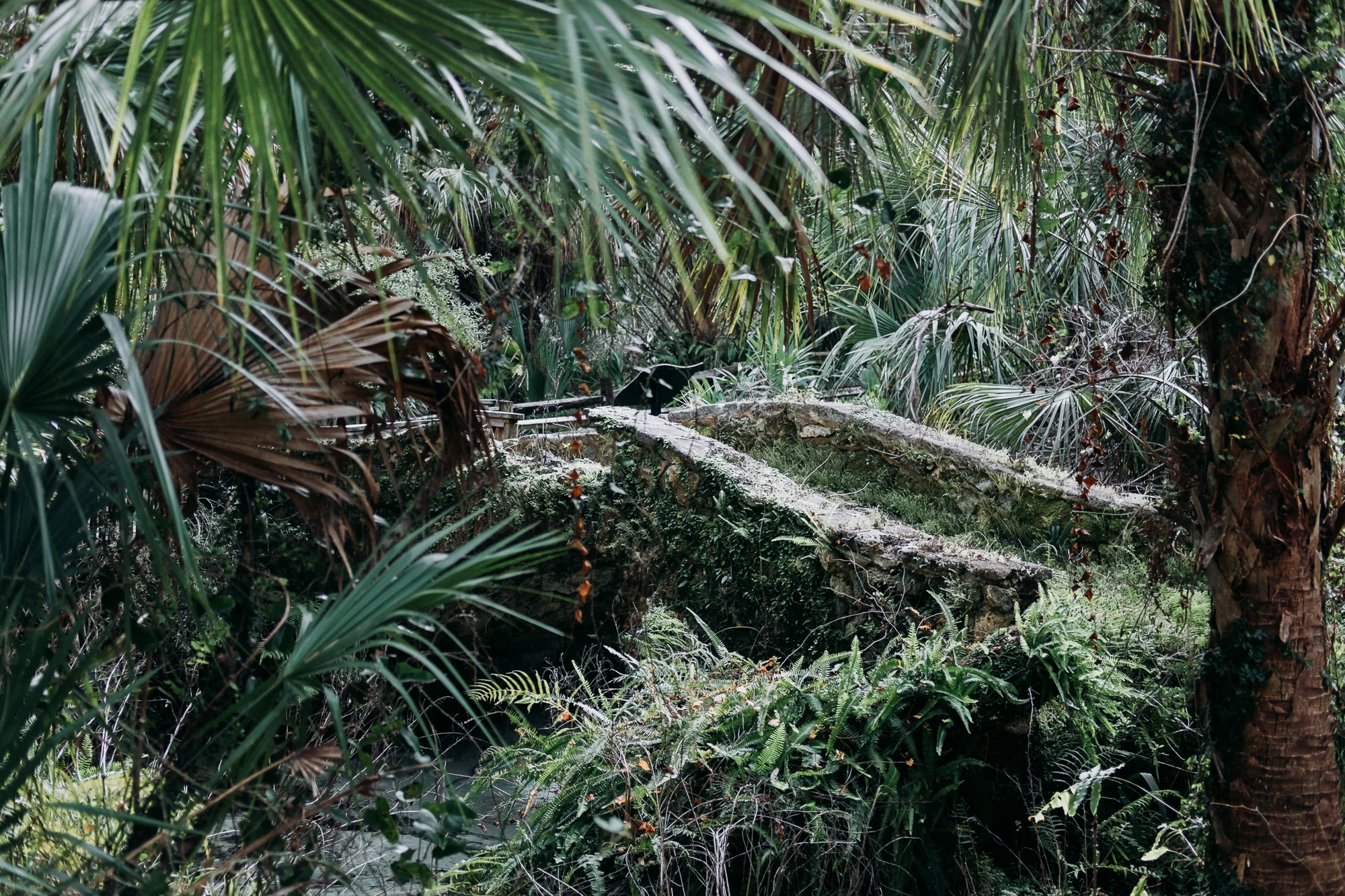From-Coast-to-Coast-Camping-Juniper-Springs-ocala-national-forest-27-2658.jpg