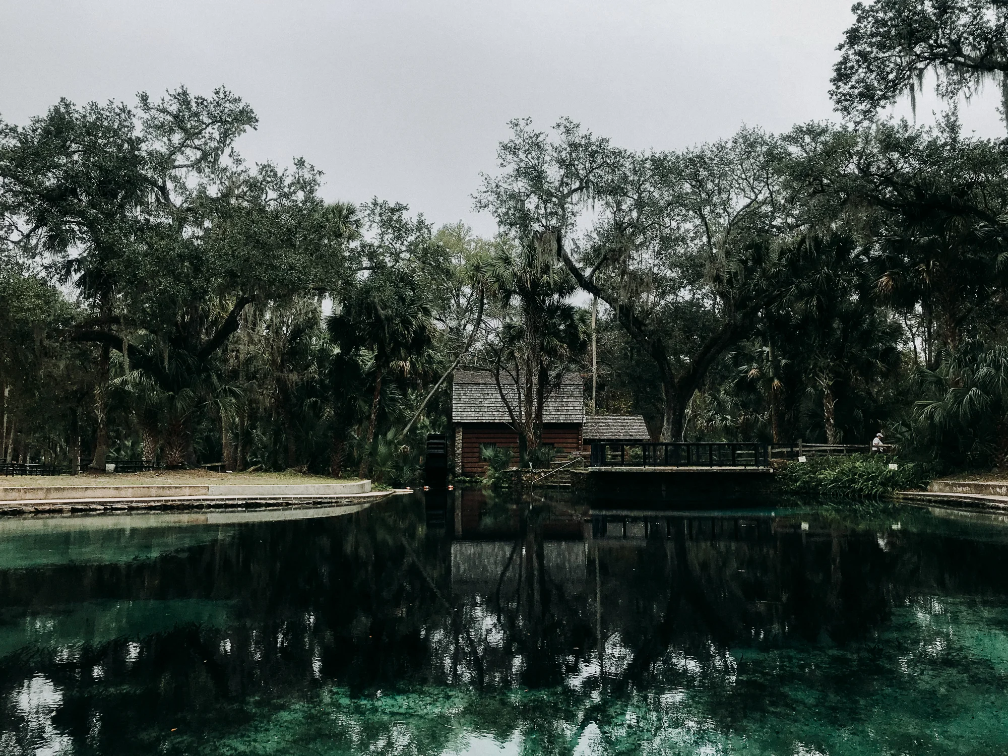From-Coast-to-Coast-Camping-Juniper-Springs-ocala-national-forest-19-.jpg