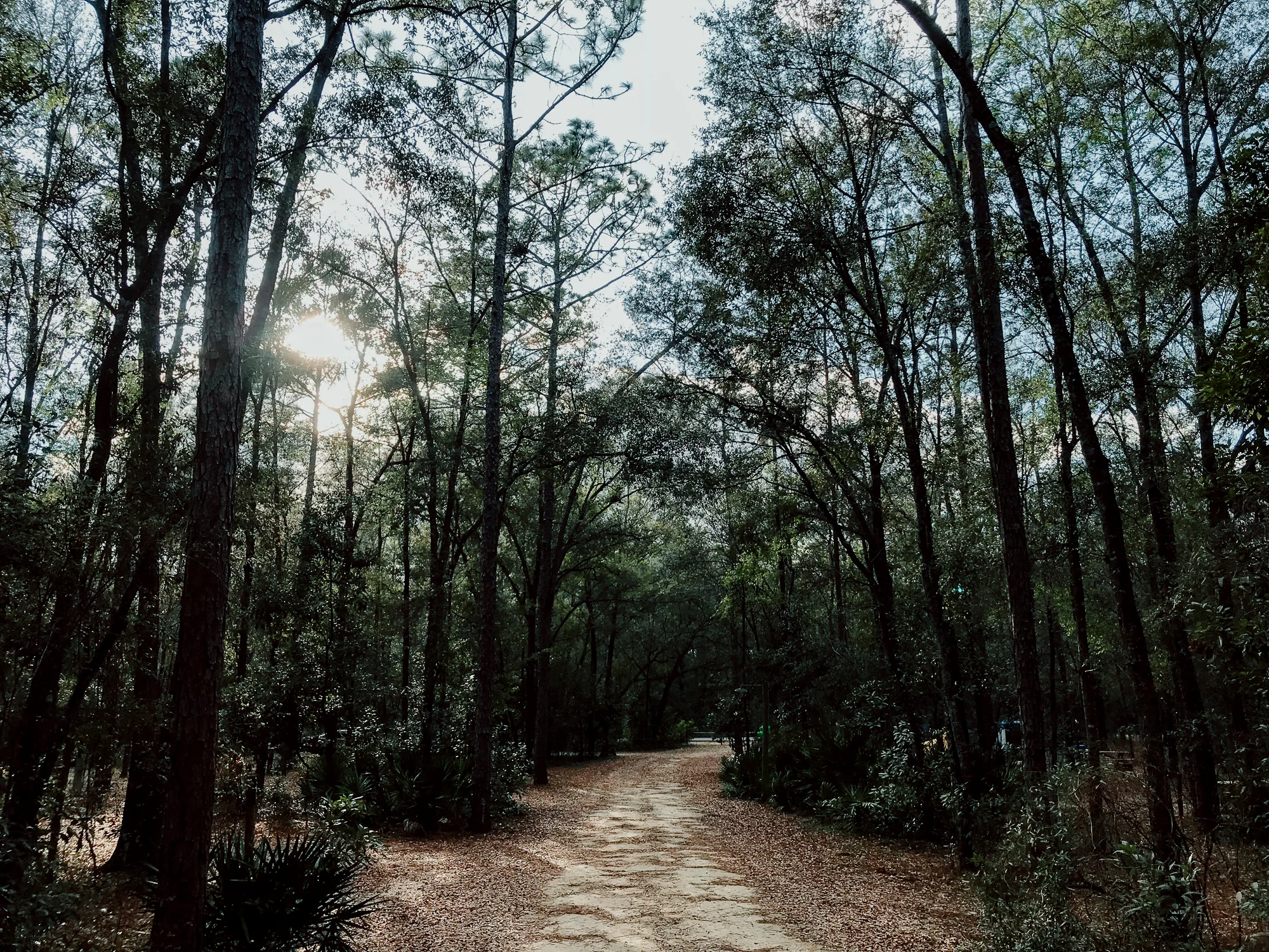 From-Coast-to-Coast-Camping-Ginnie-Springs-18-0834.jpg
