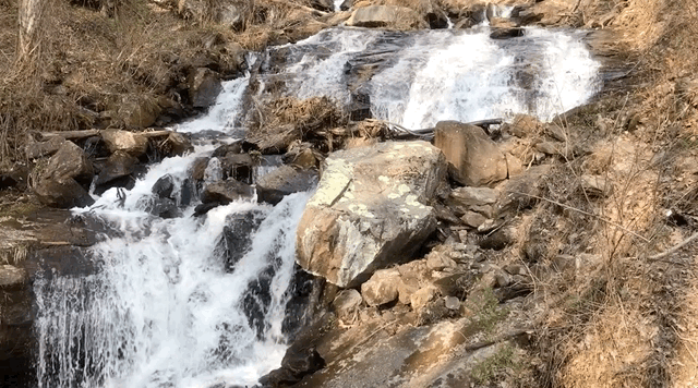 Amicalola-Falls-Video.gif