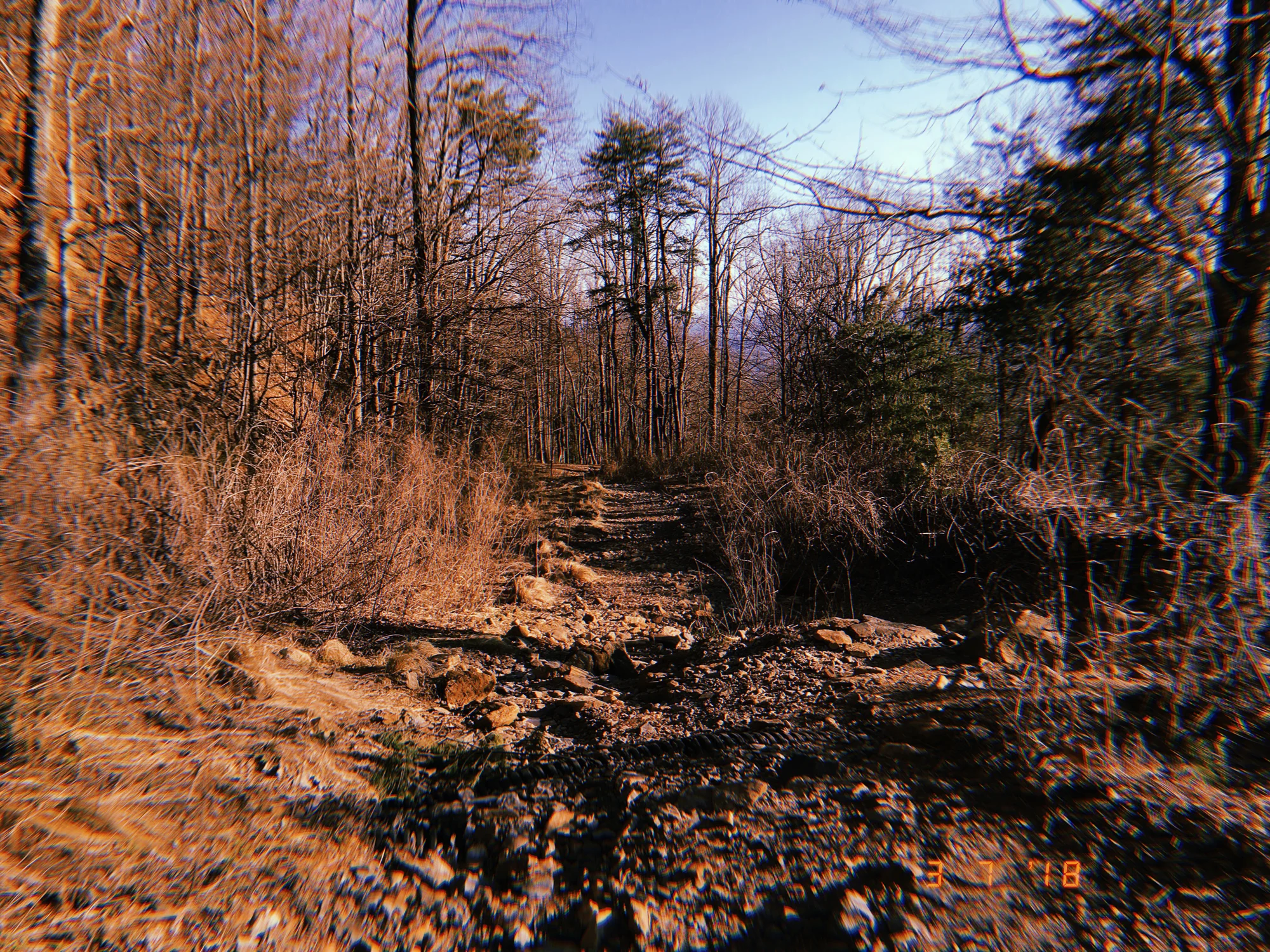 The trail on the way down is very different from the stairs + wooden paths on the way up!