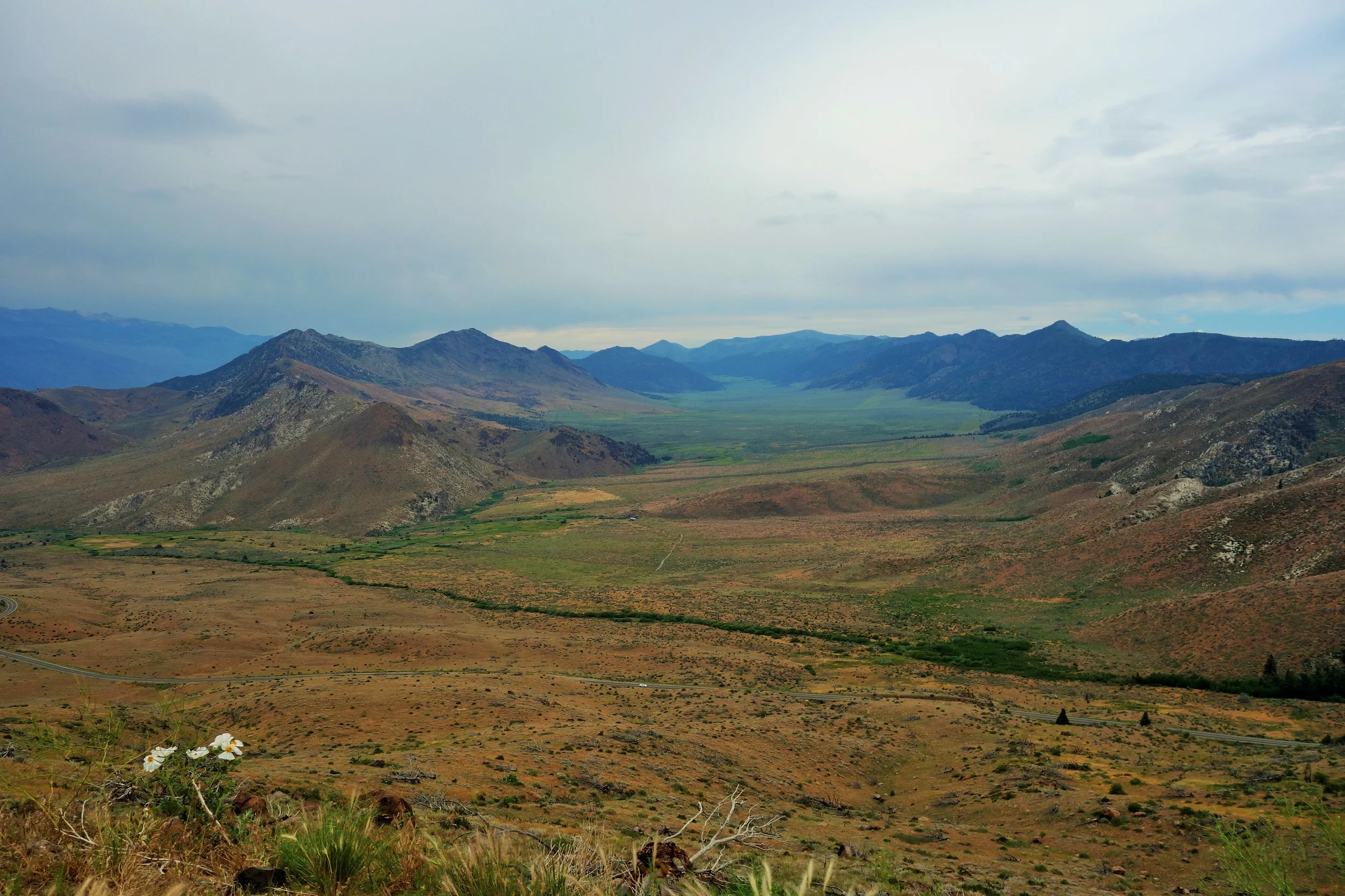 Final Trainer in Arnold