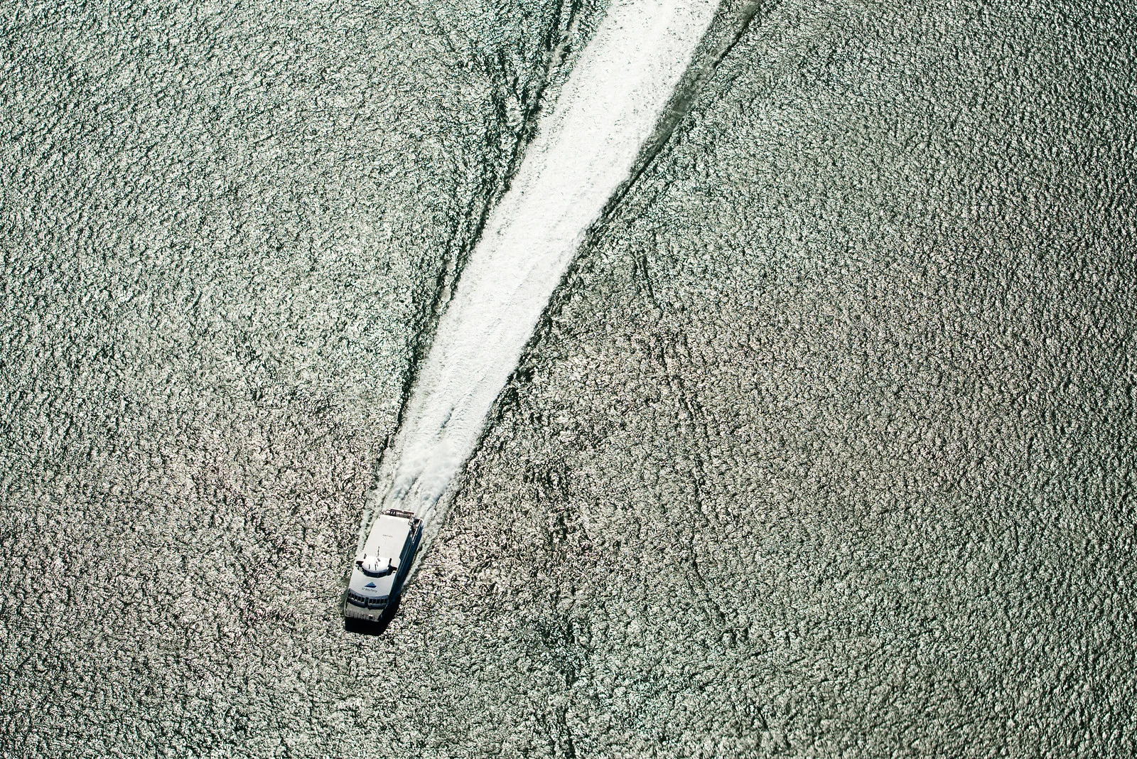 _FJR0135.jpg