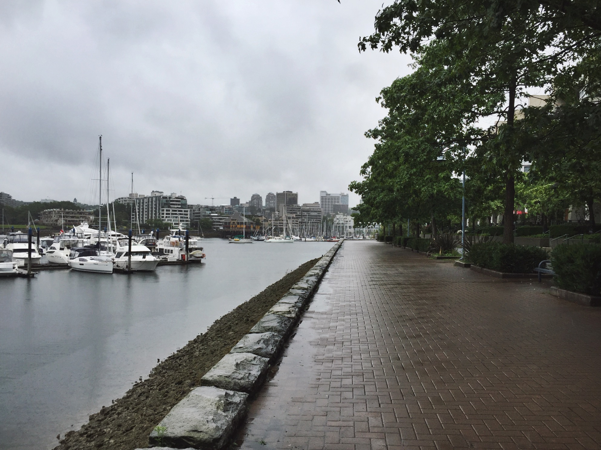 A Rainy Day in Vancouver, B.C.