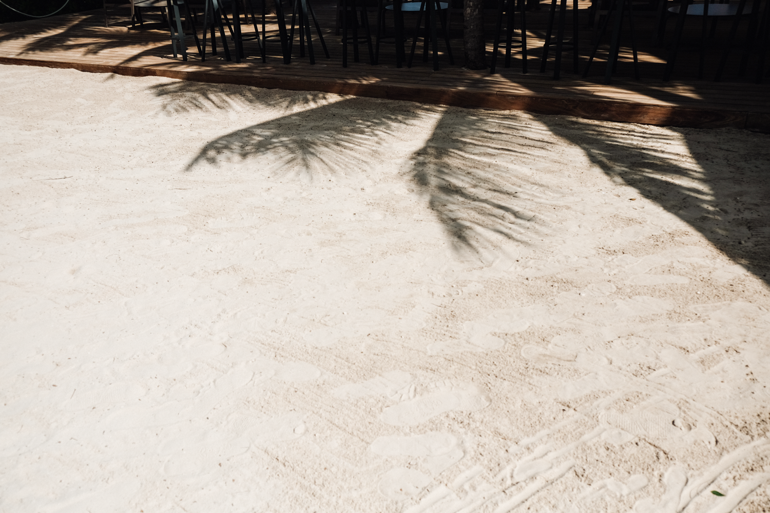 DSCF6802.png