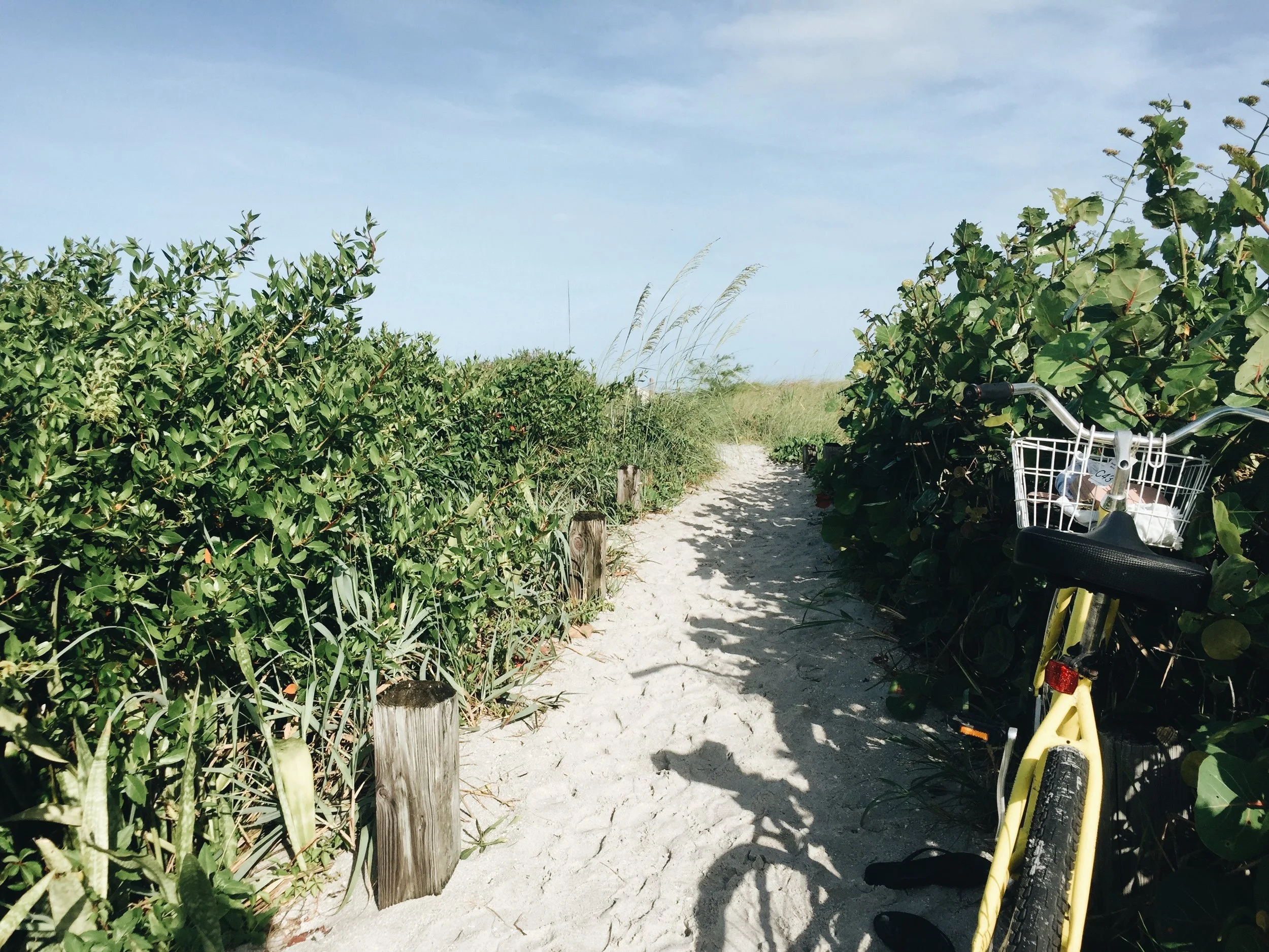 The Beaches of Fort Myers &amp; Sanibel: Top 5 Memories
