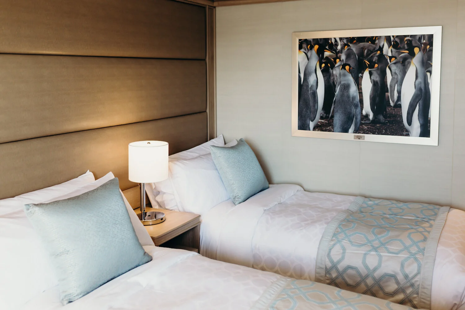 Cruise MedallionClass™ for Christmas | truelane