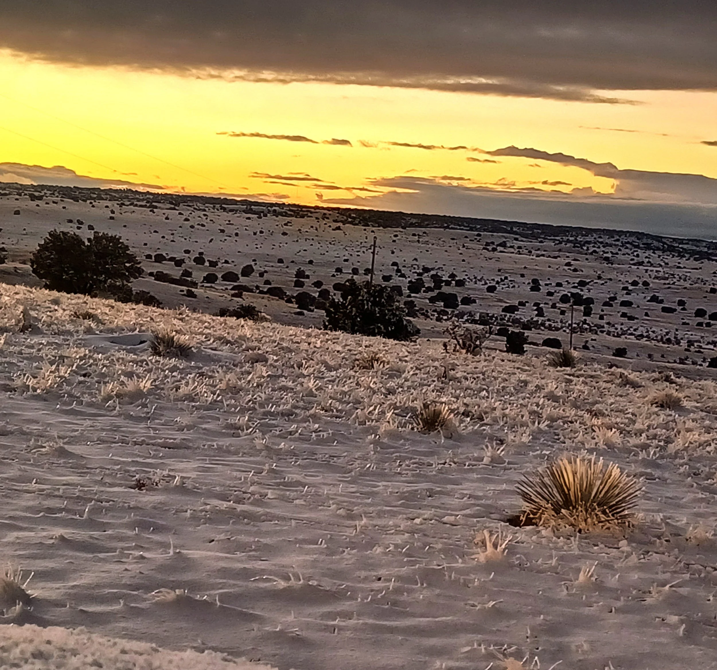 20231214_170825.jpg