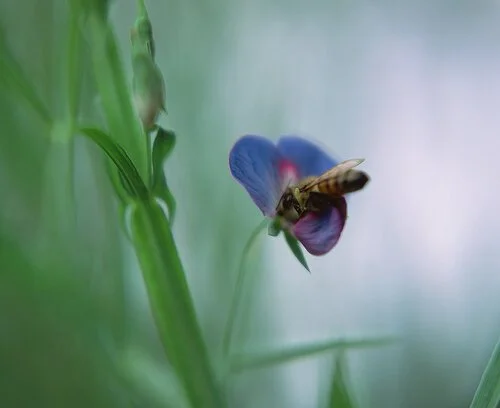 image-asset (1).jpeg