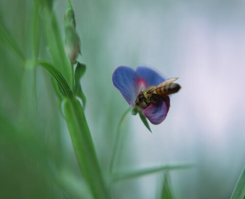 image-asset (1).jpeg