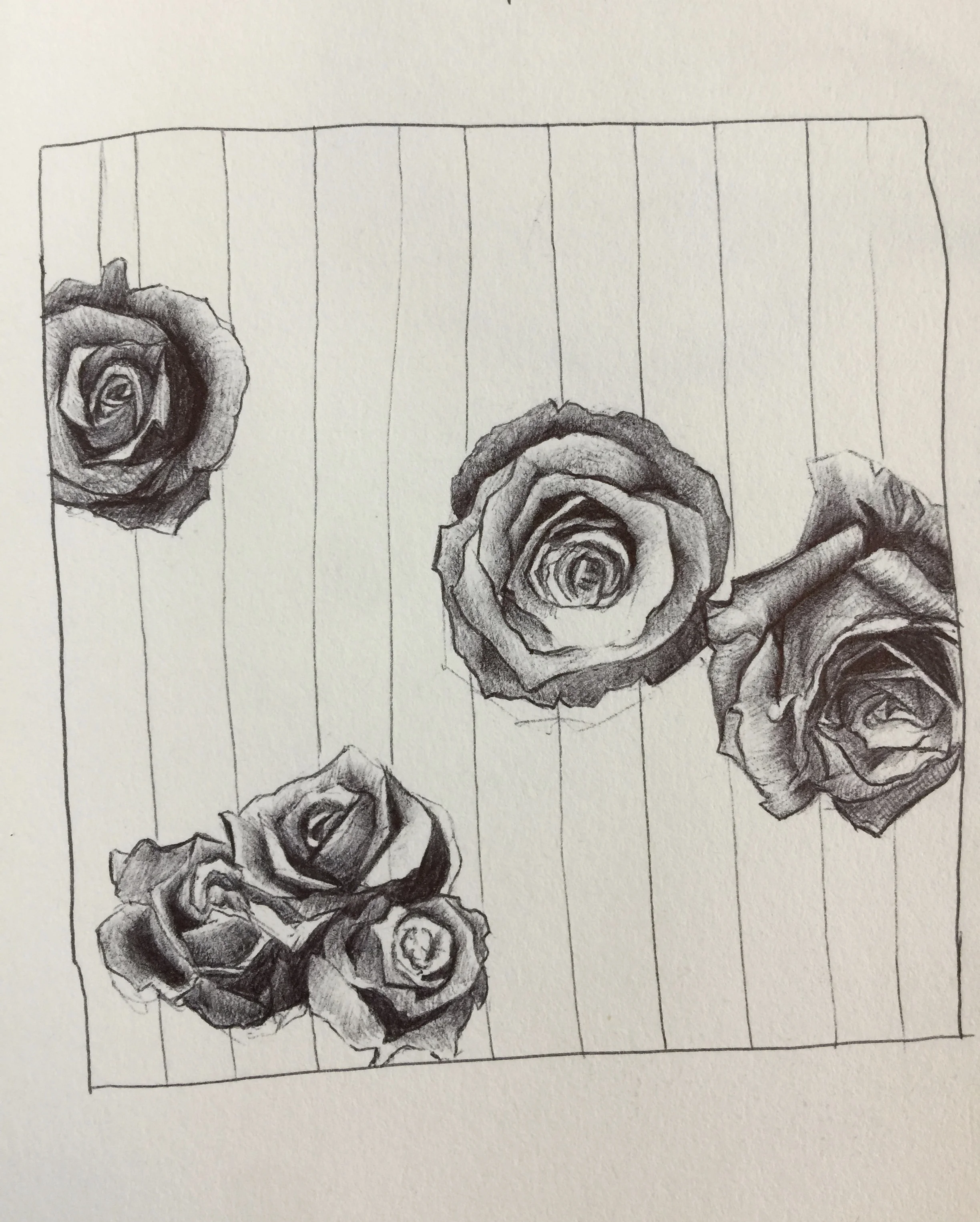 fullsizeoutput_1a43.jpeg