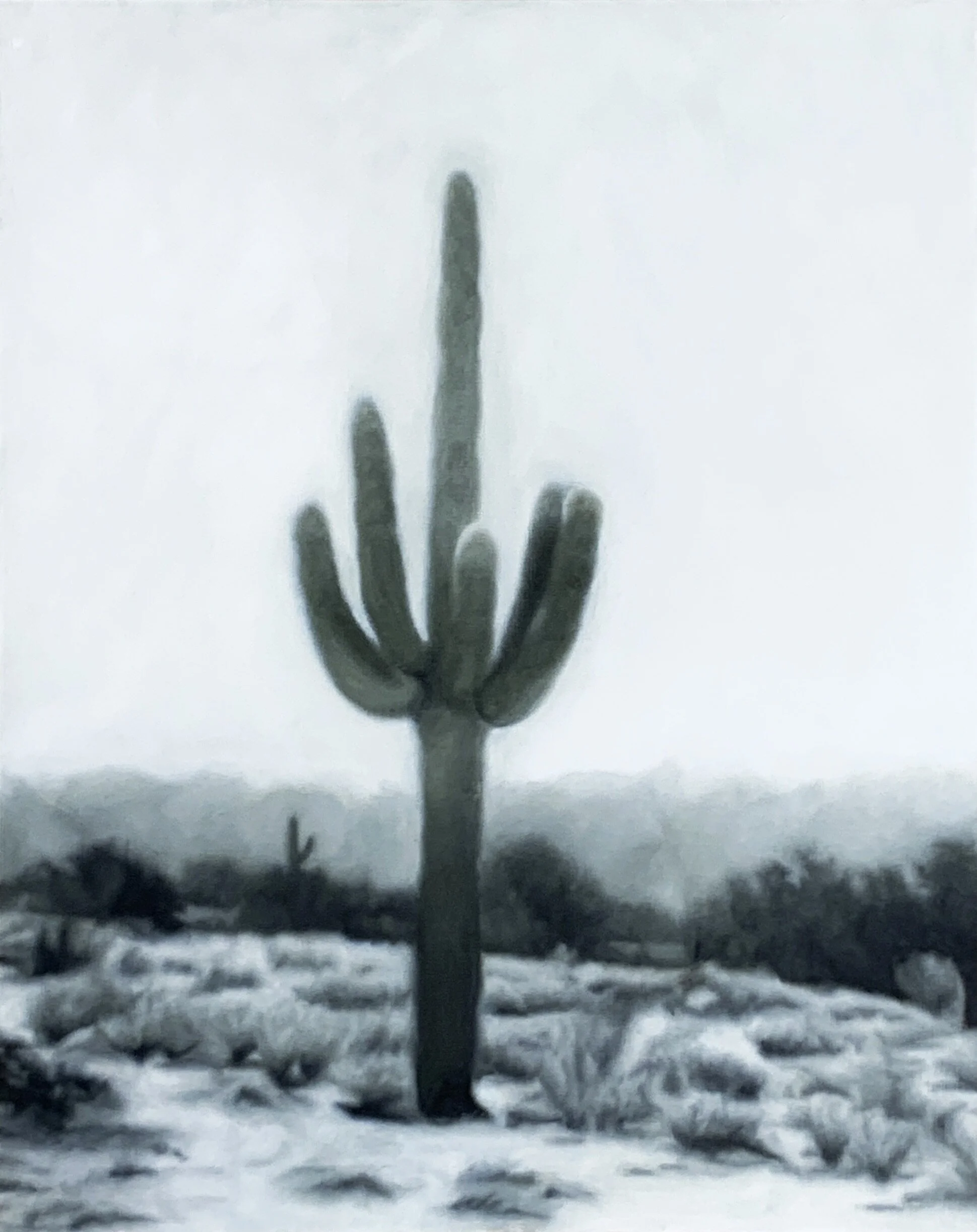 SAGUARO I.LIGHTENED.jpeg