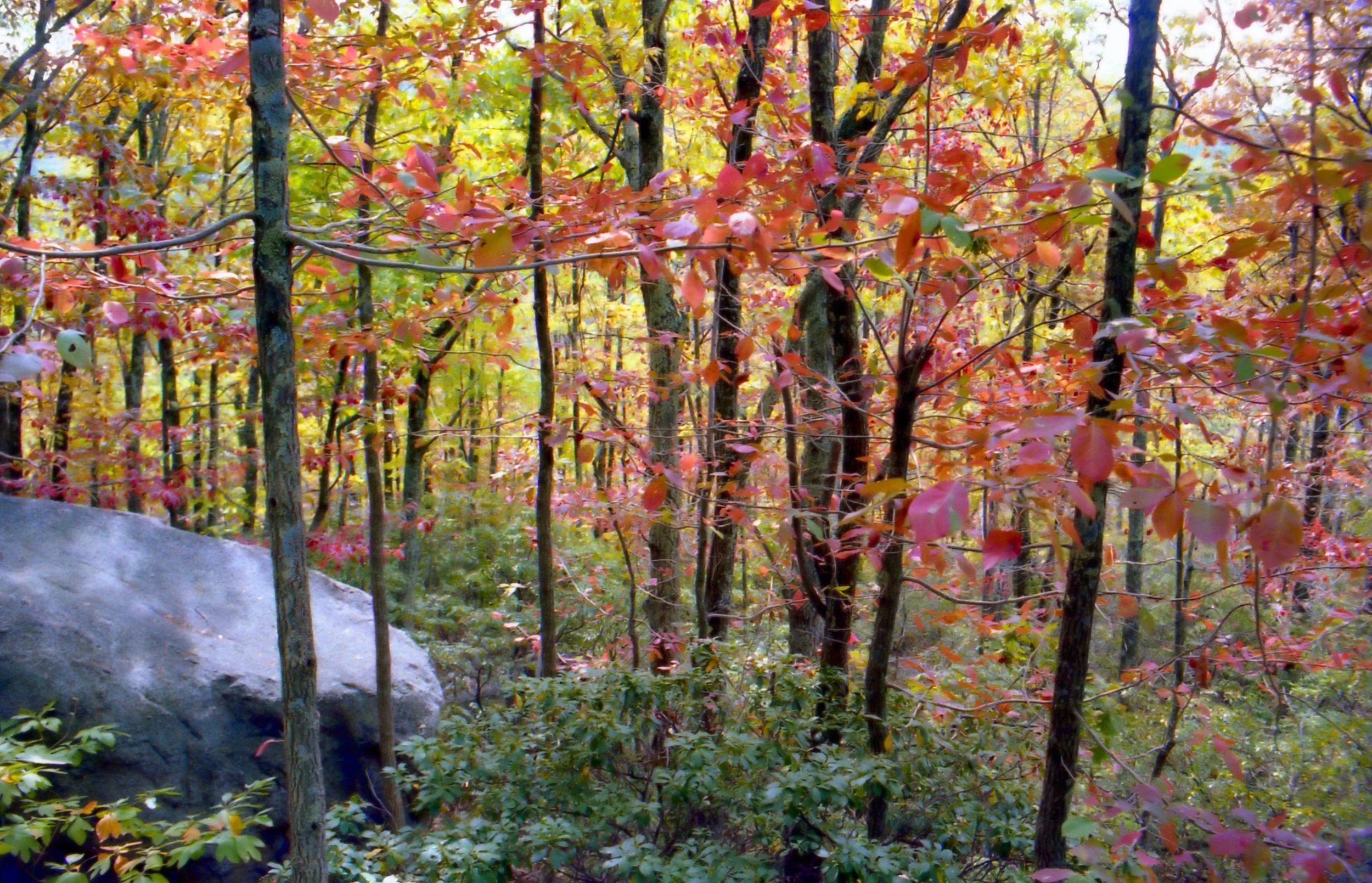 img083.jpg