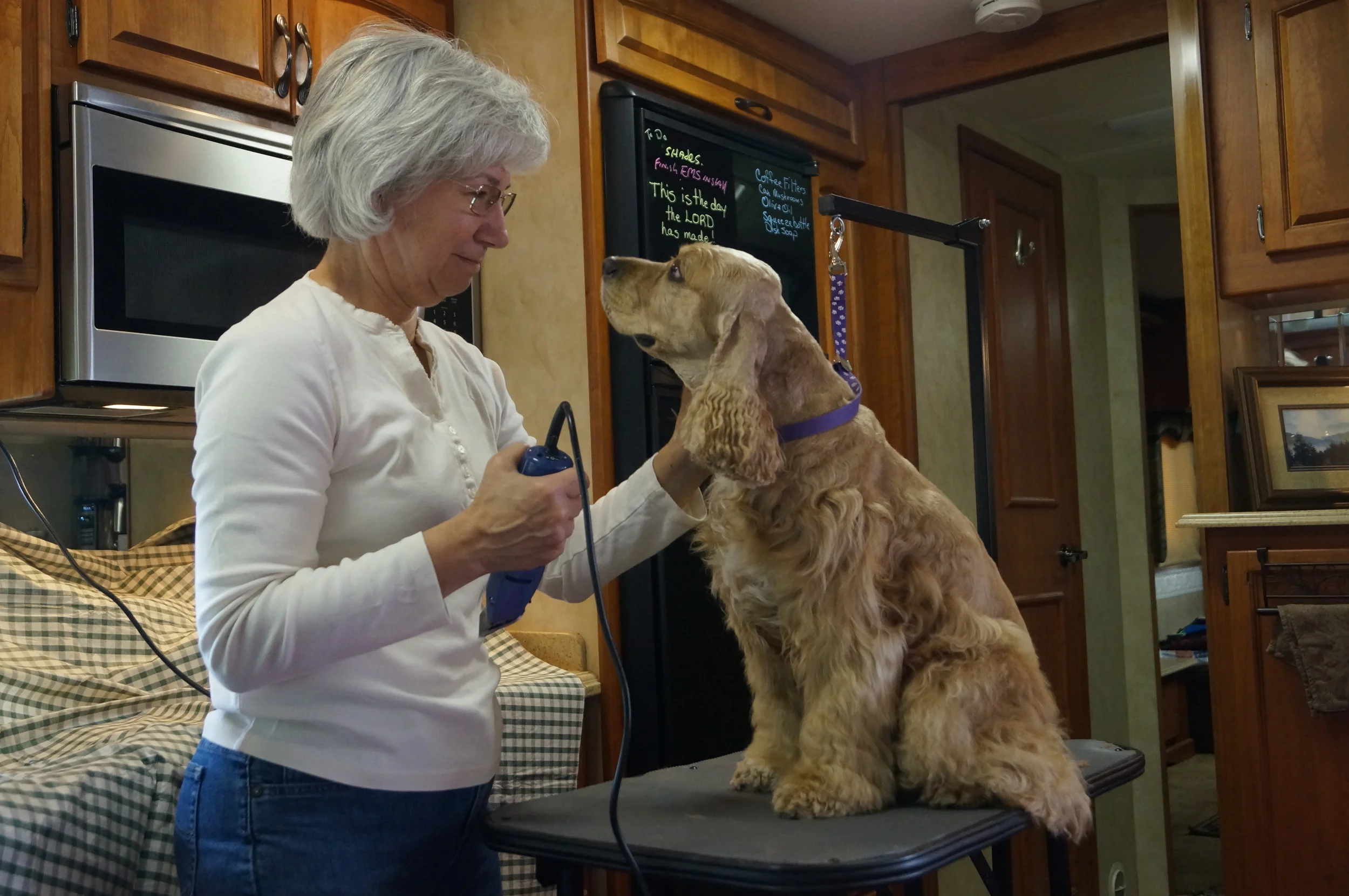 Diane and Teddy Bear on Grooming Day
