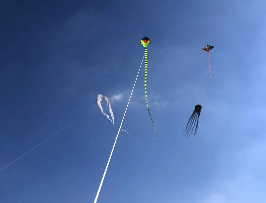 Catch Some Wind — derrick's random views