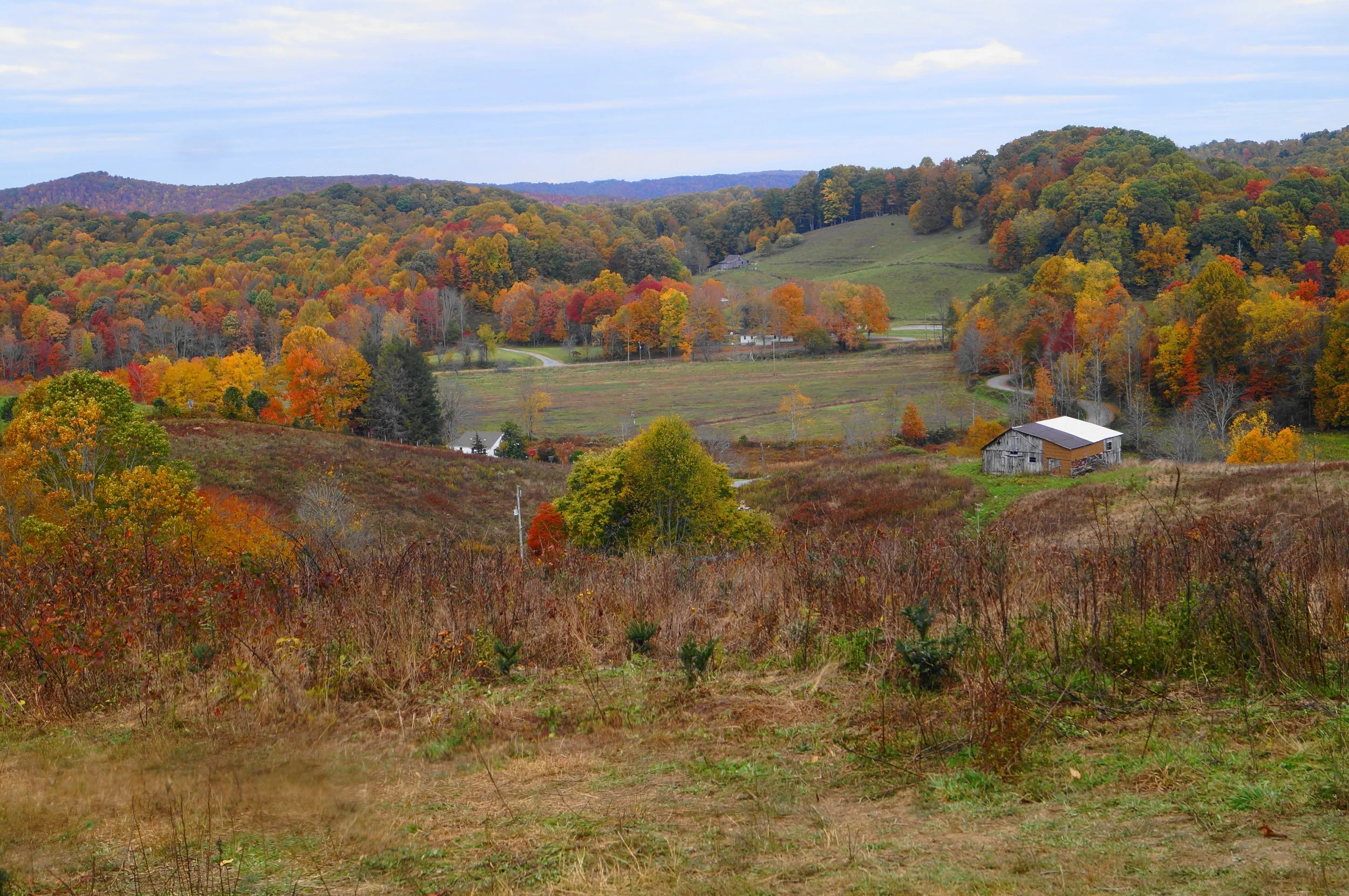 DSC01090.JPG