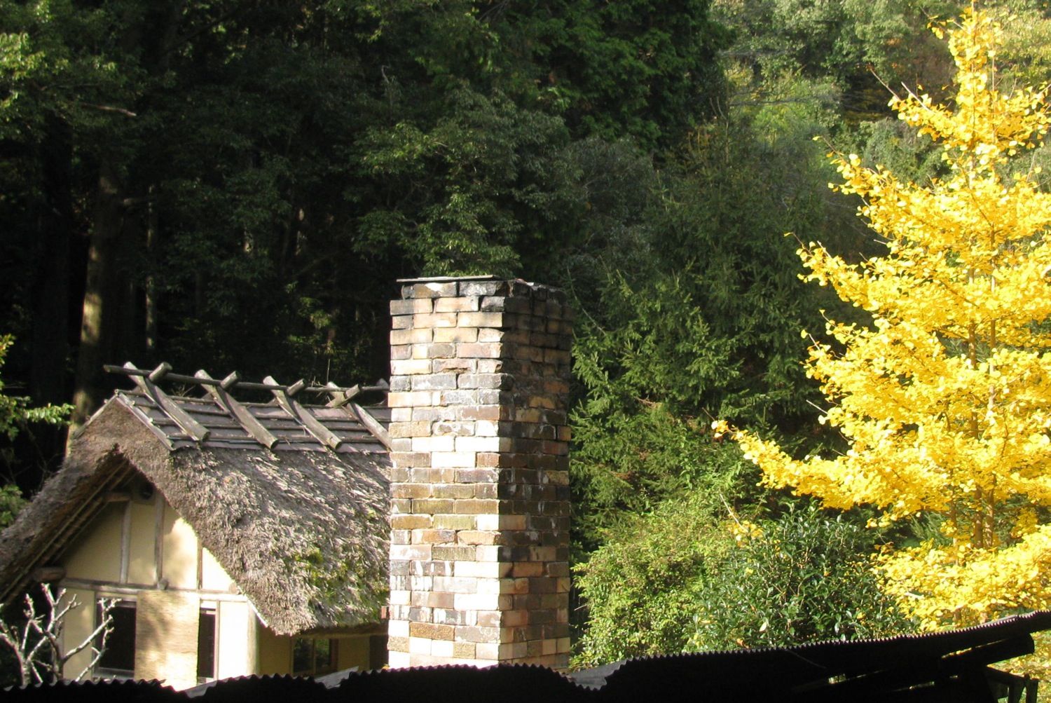 Chimney, ginko, teahouse
