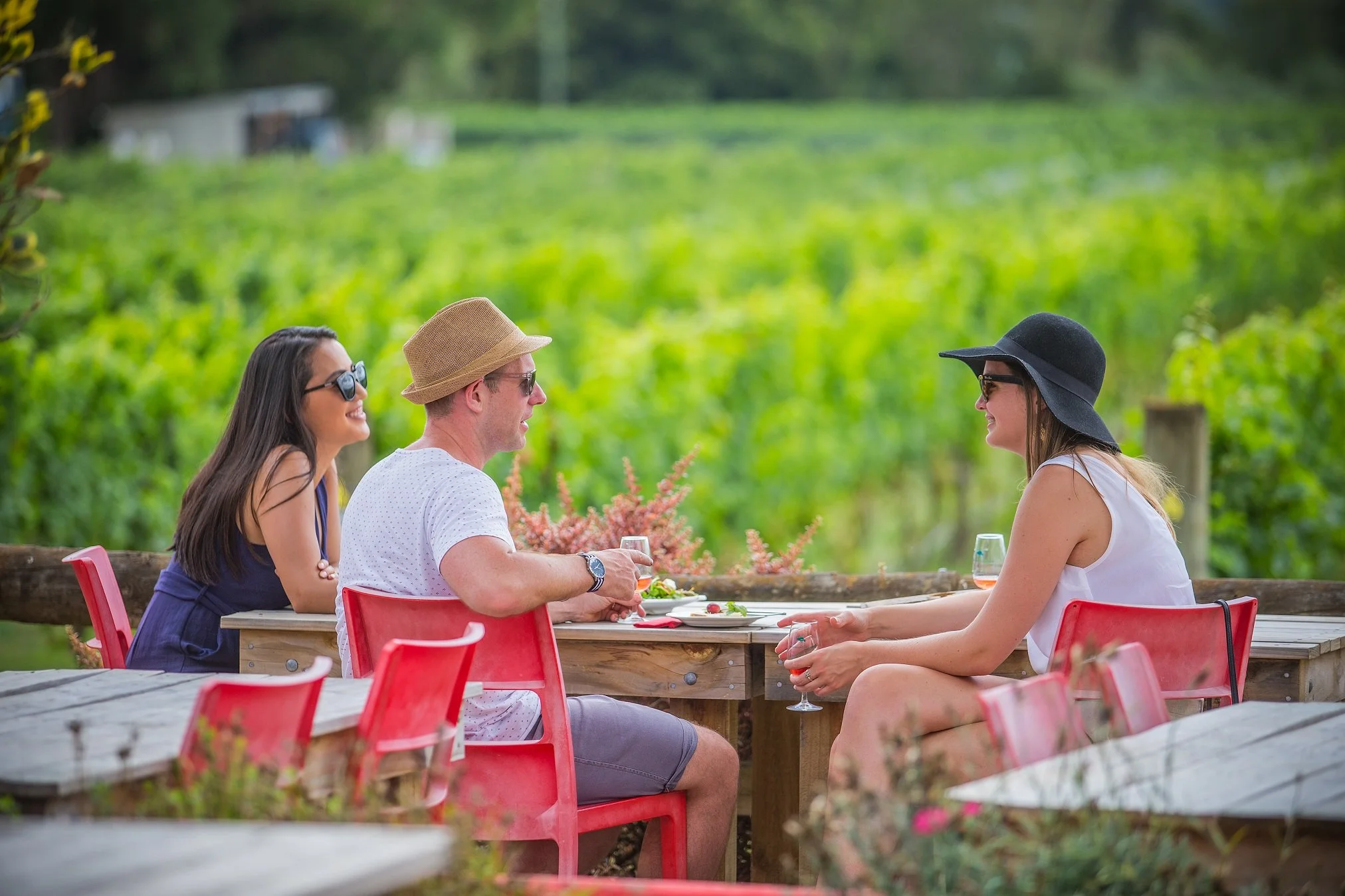 Margrain Vineyard Martinborough 2018 Stock 21 Credit Jeff McEwan.jpg