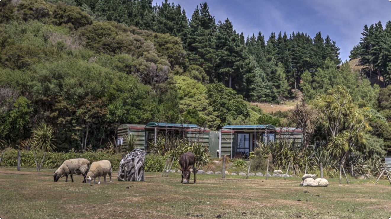 Te Rakau Cabins, Wairarapa, Remutaka Cycle Trail, Cycle Remutaka