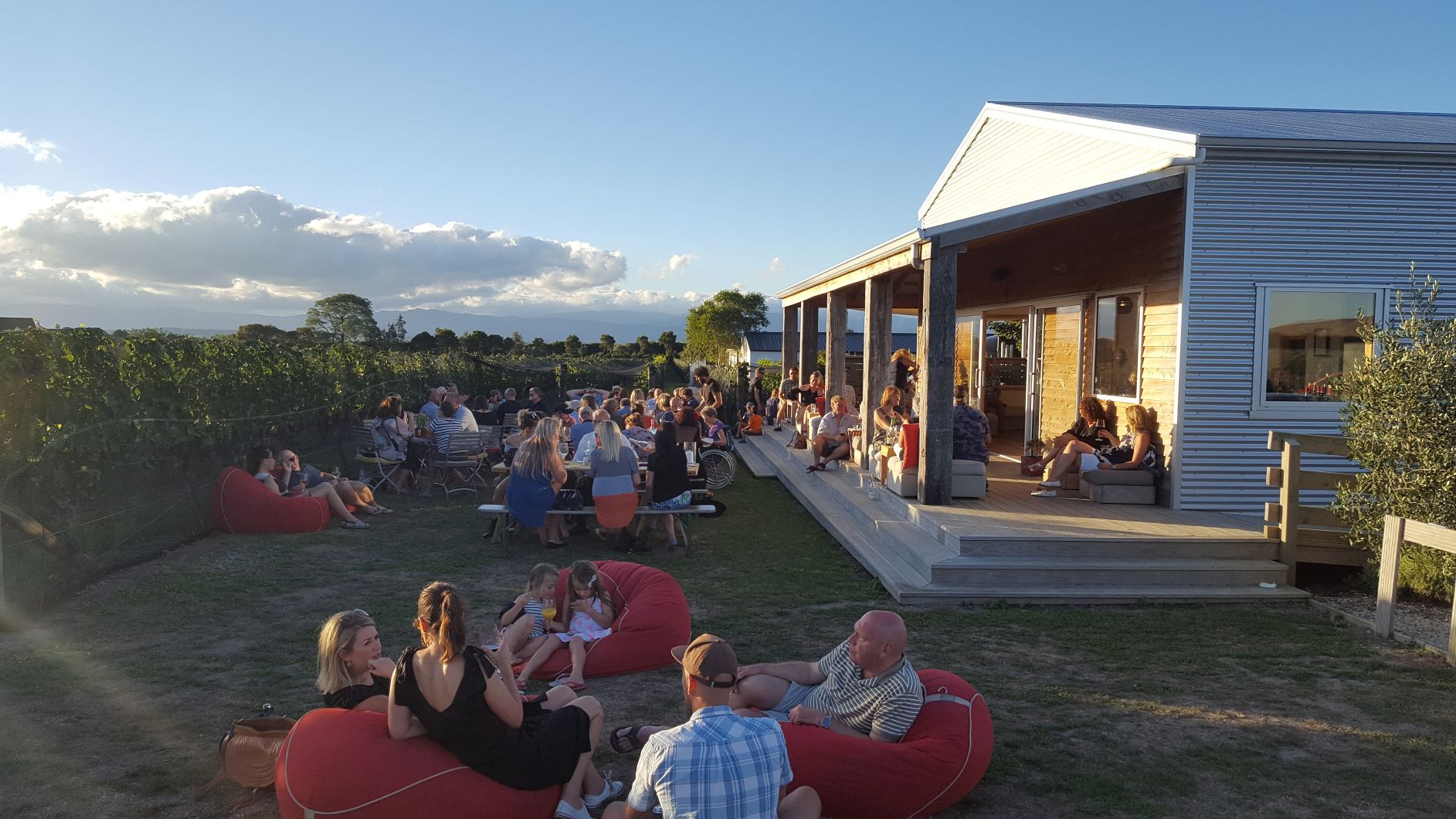 Cycle Tours Incorporating Martinborough — Cycle Remutaka