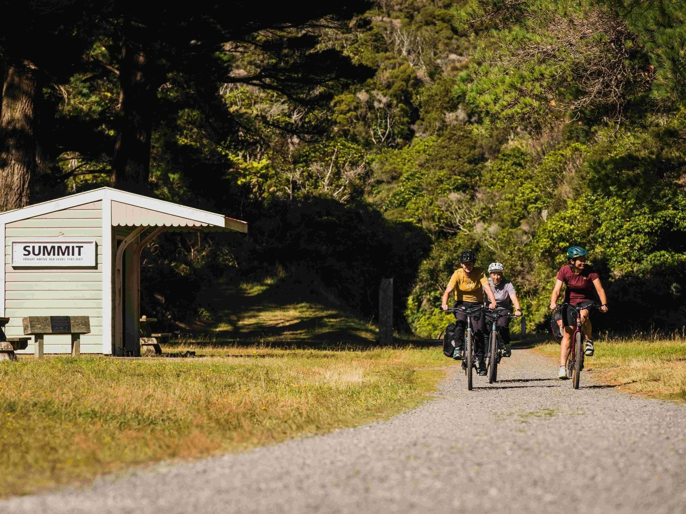 Med+res+1.4mb+WNZ_Rail+trail+Section_Remutaka+Cycle+Trail_16032024_Wellington+Regional+Trails_Credit_Caleb+Smith+Photography_ExpApr2039+%285%29.jpg