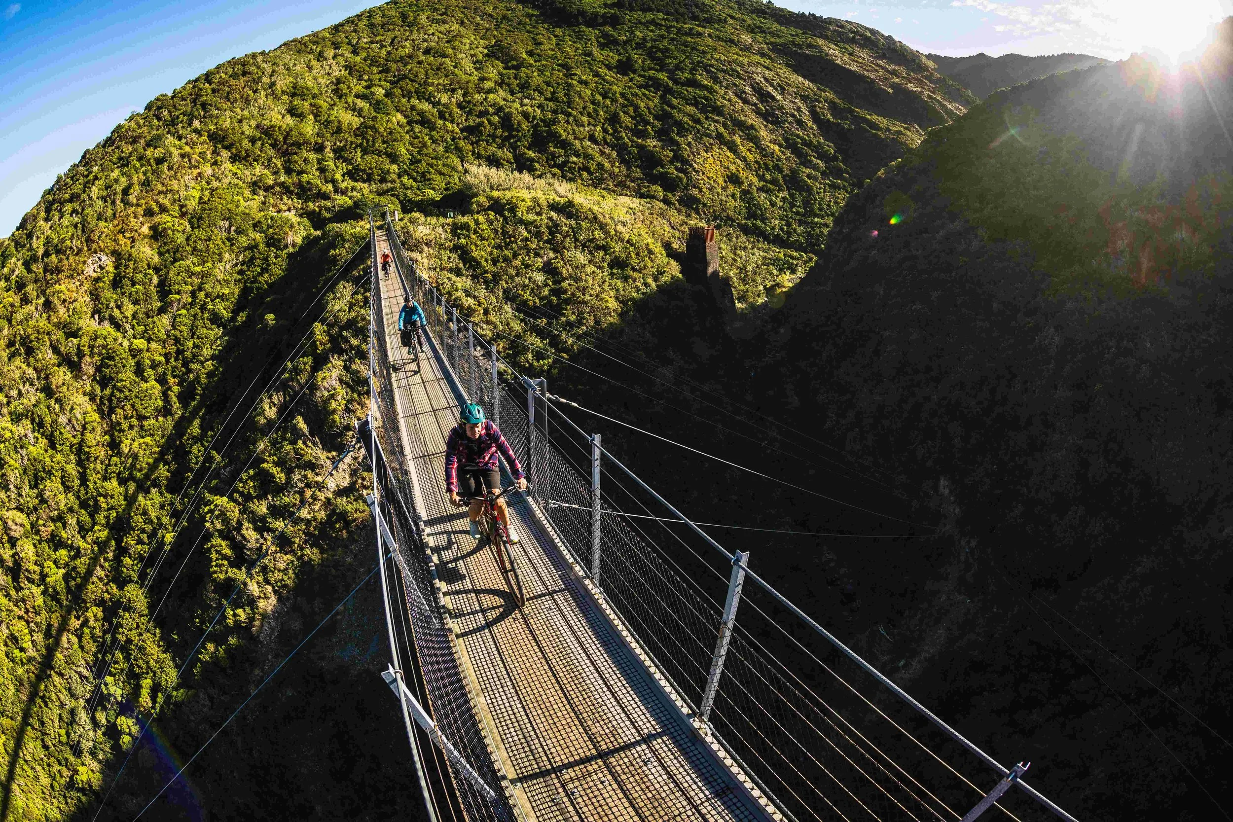 Med res 1.5mb WNZ_Rail trail Section_Remutaka Cycle Trail_16032024_Wellington Regional Trails_Credit_Caleb Smith Photography_ExpApr2039 (7).jpg
