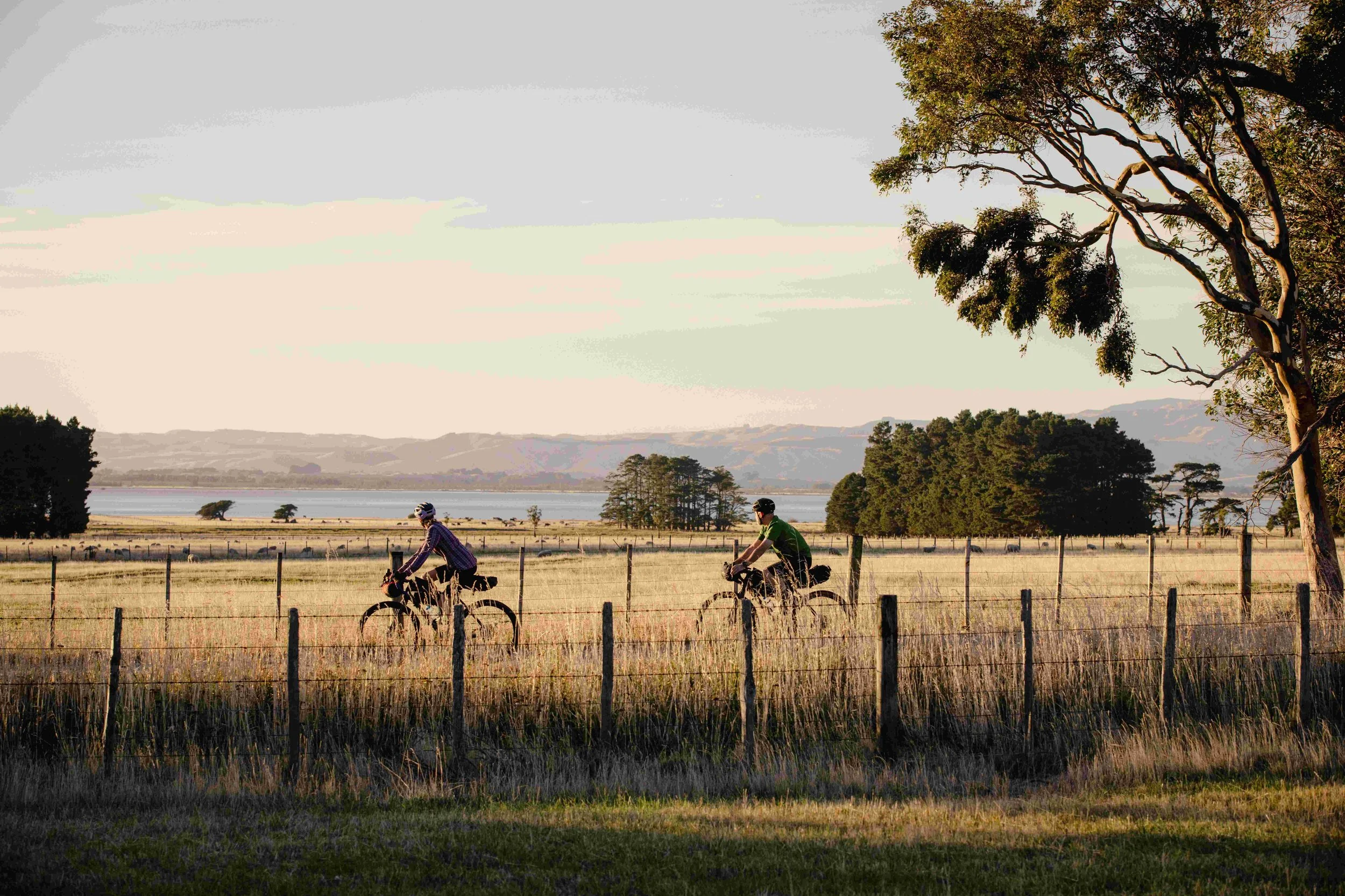 Med res 1.4mb WNZ_Western Lake Road Section_Remutaka Cycle Trail_09032024_Wellington Regional Trails_Credit_Caleb Smith Photography_ExpApr2039 (1).jpg