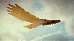 BoilingCircularDassierat-max-1mb.gif