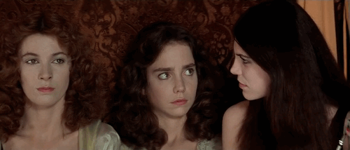 sdabd.gif