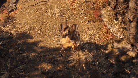 giphy-2.gif