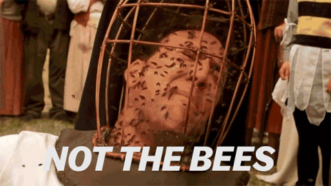giphy-1.gif